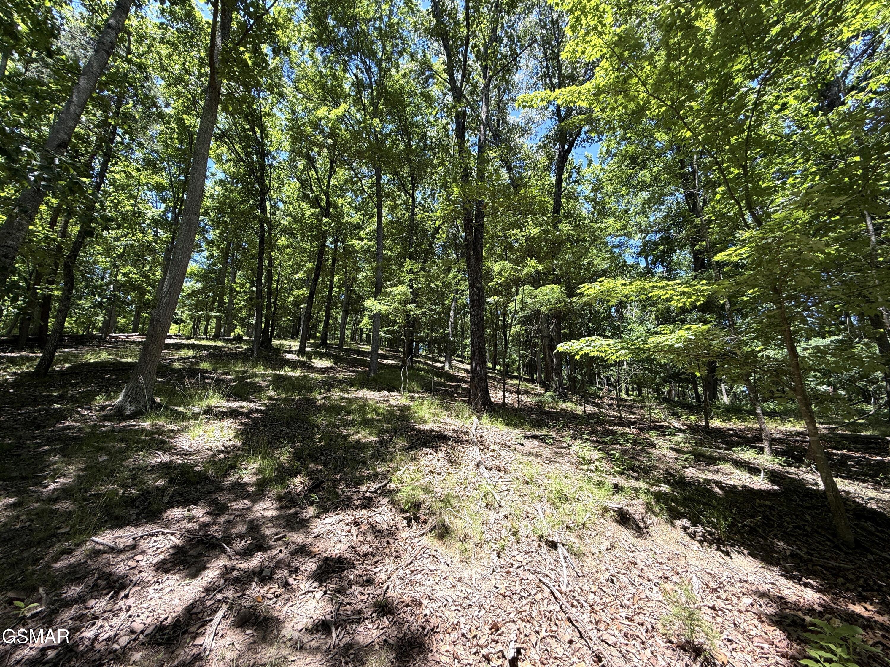 0 Harbor View Mooresburg TN 37811