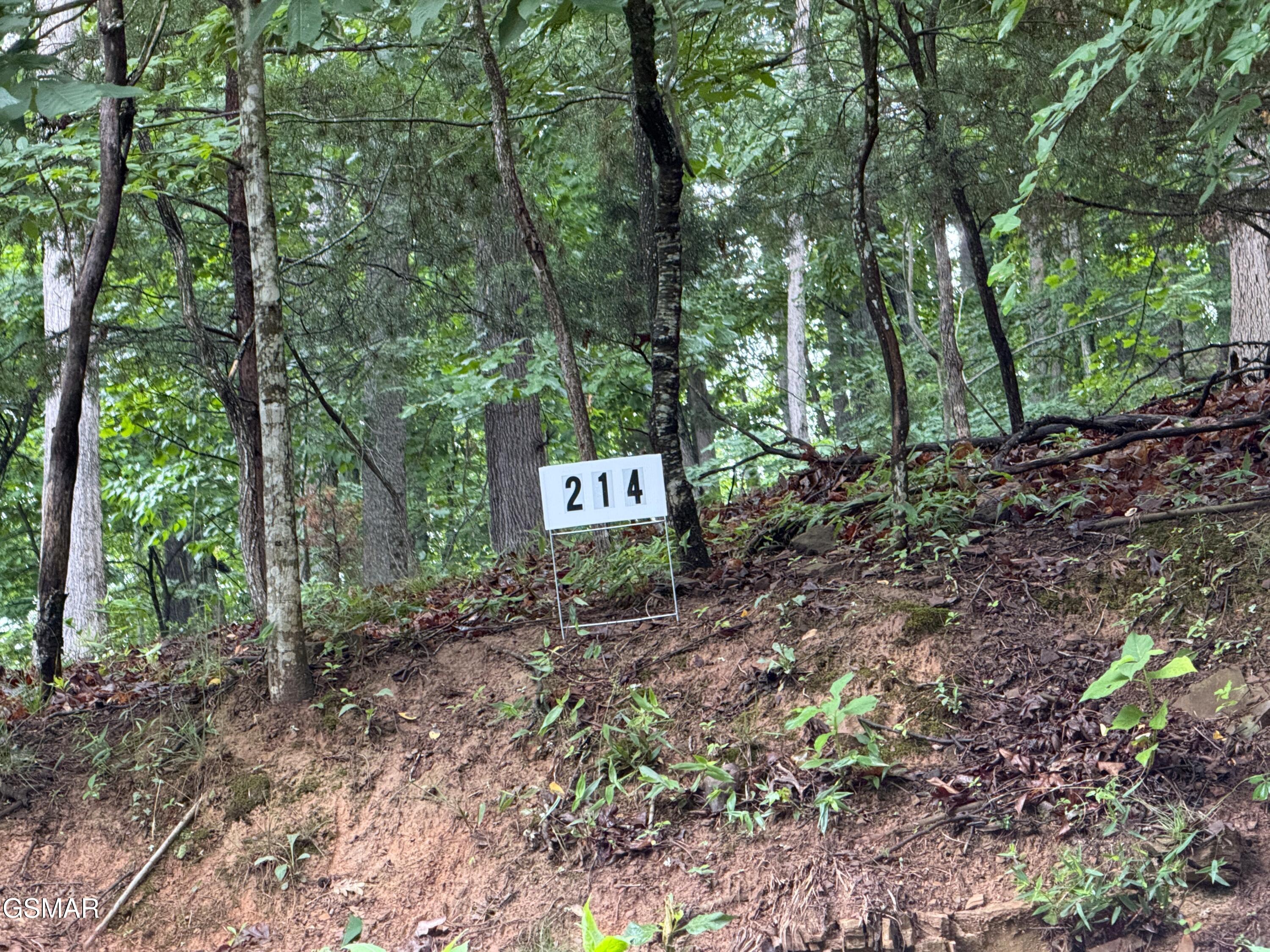 0 Harbor View Mooresburg TN 37811