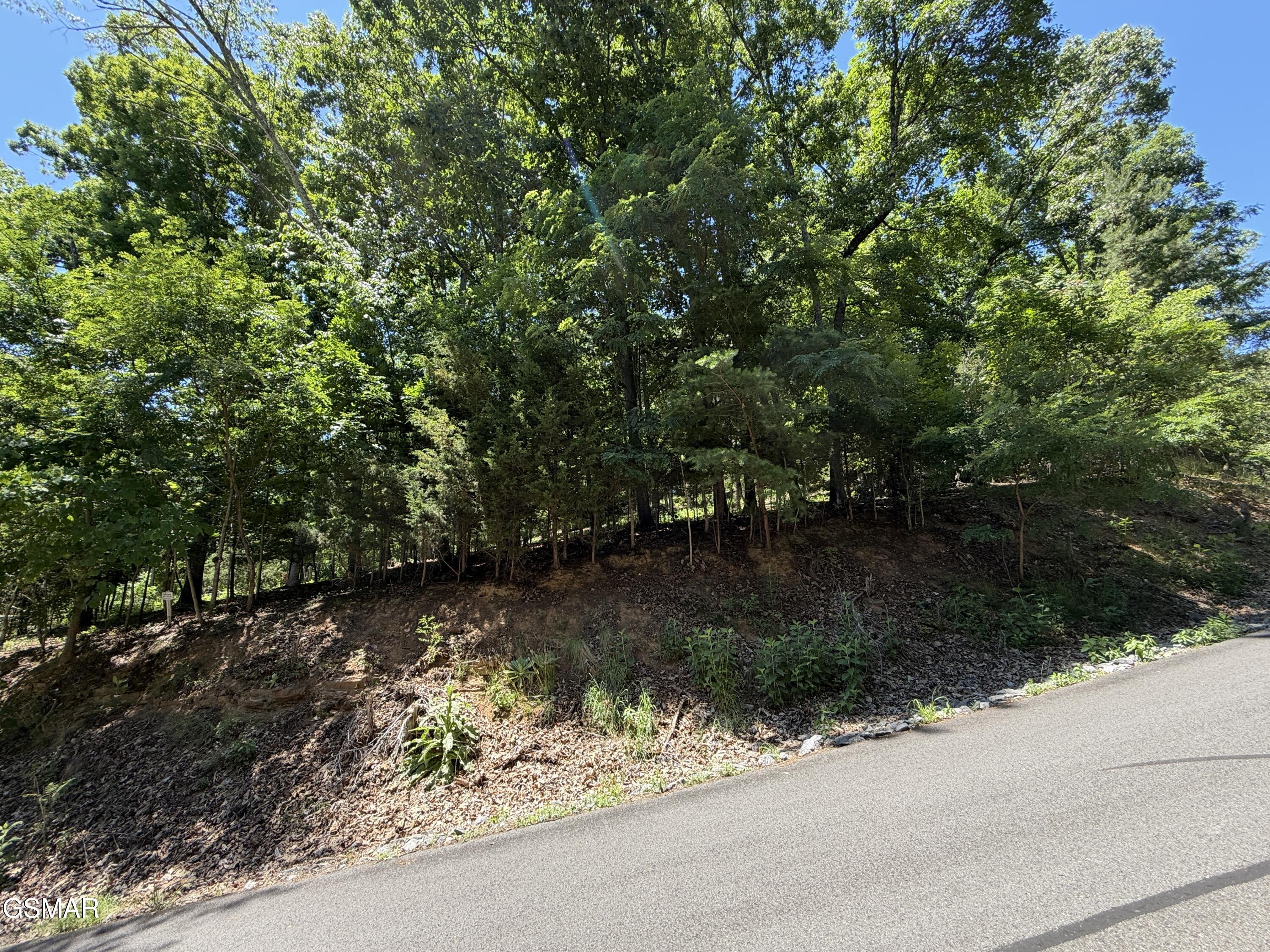 0 Harbor View Mooresburg TN 37811