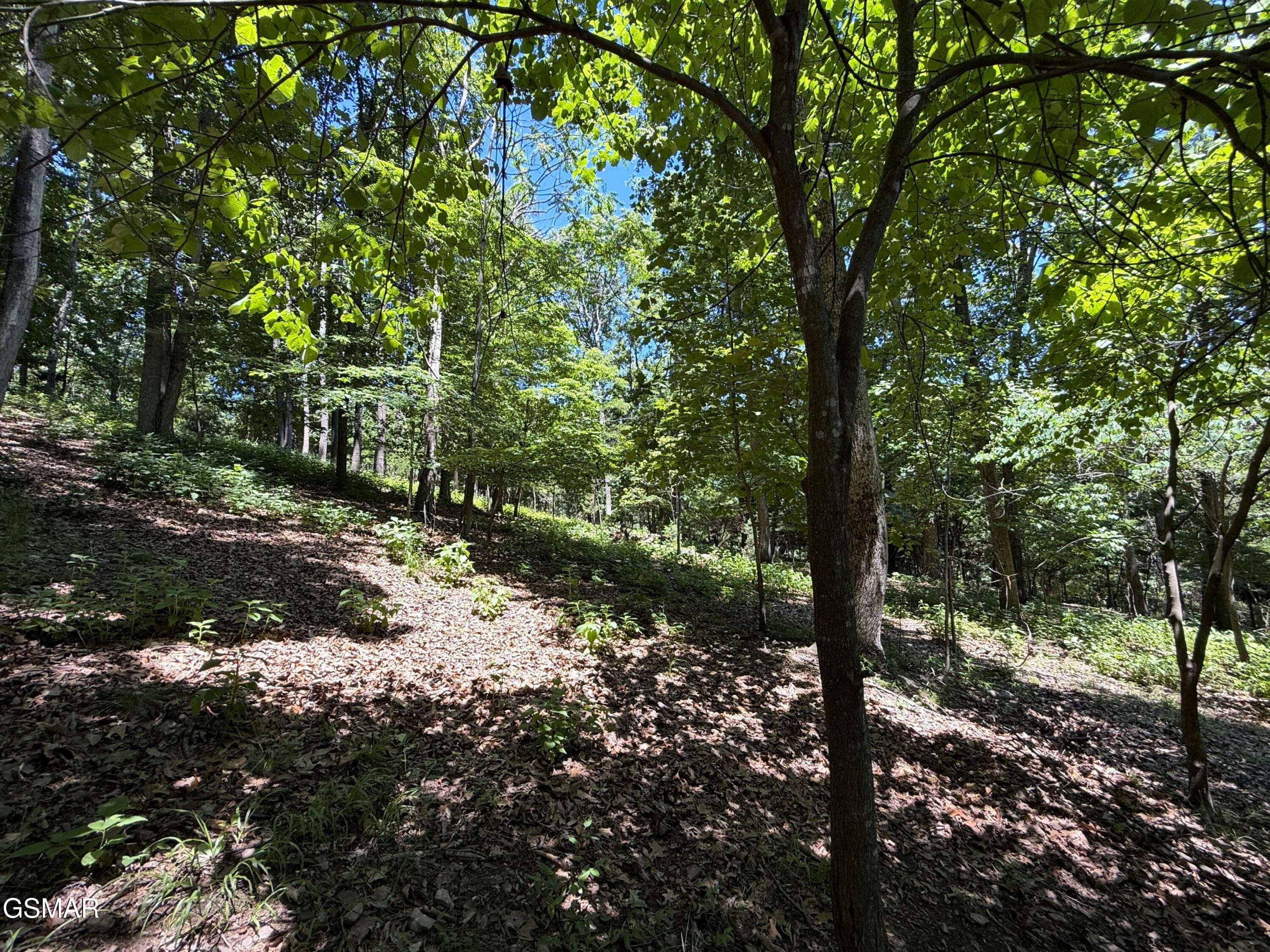0 Harbor View Mooresburg TN 37811