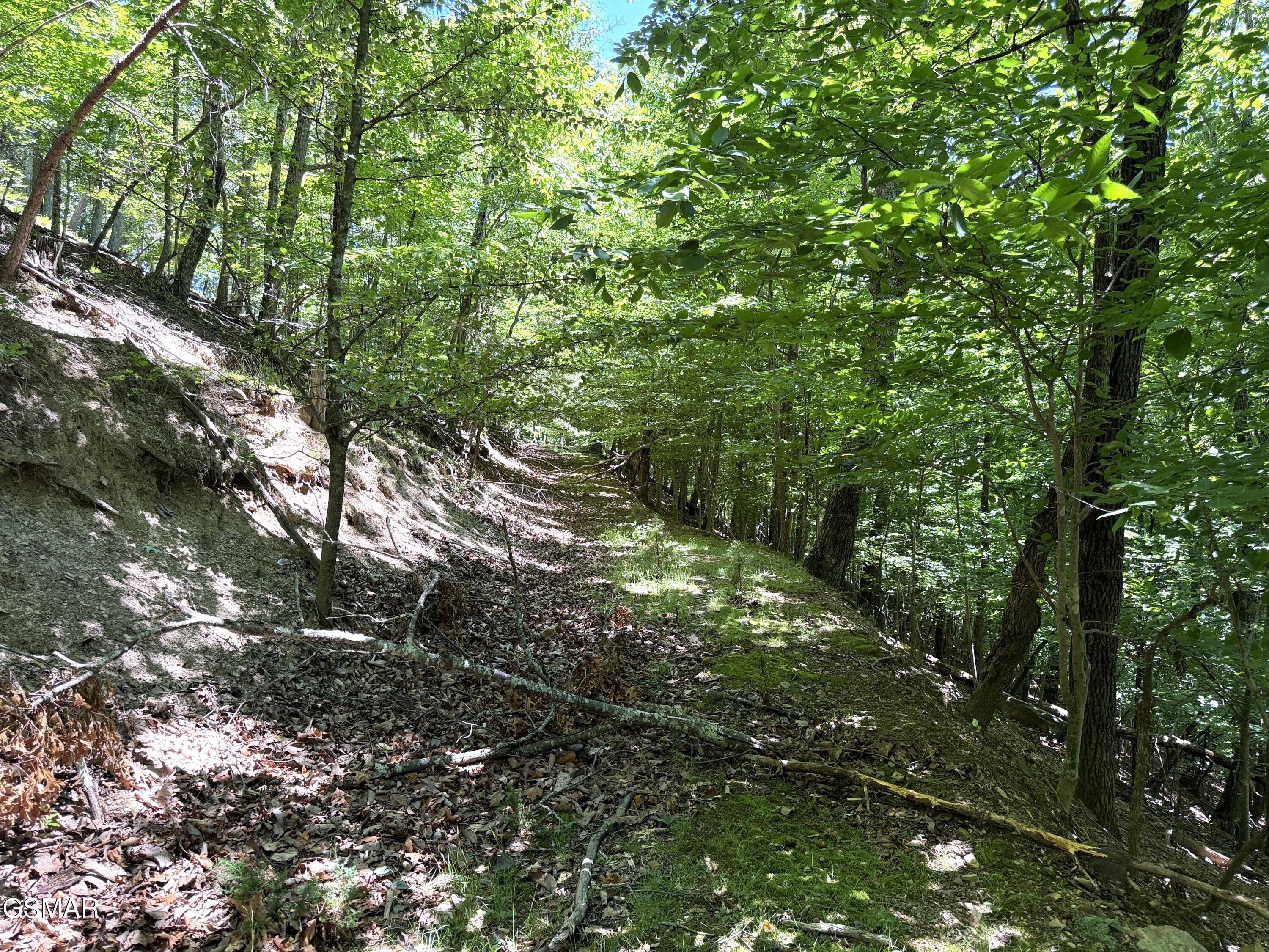 0 Harbor View Mooresburg TN 37811