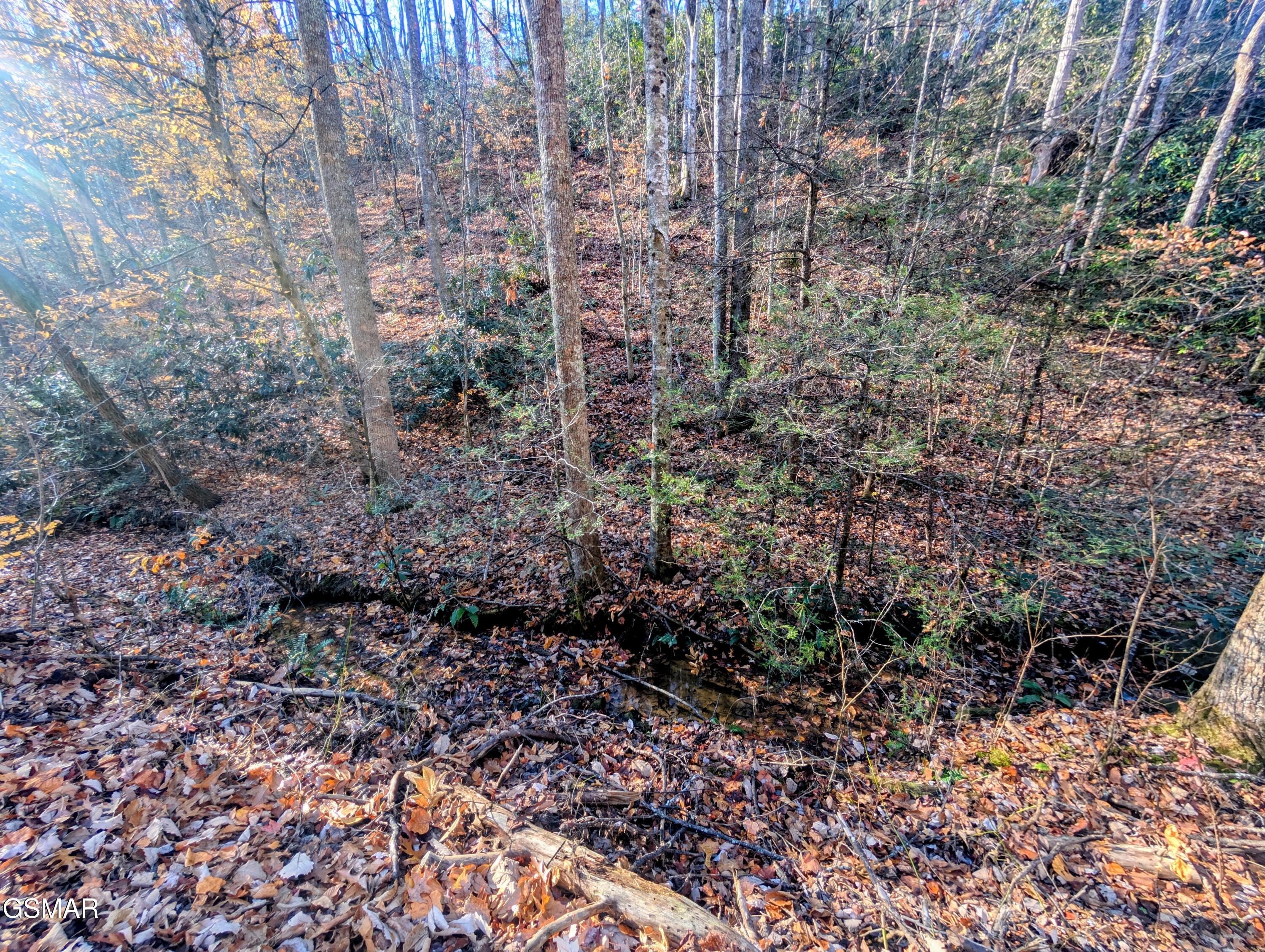 Lot 1908 Rose Pass Sevierville TN 37876