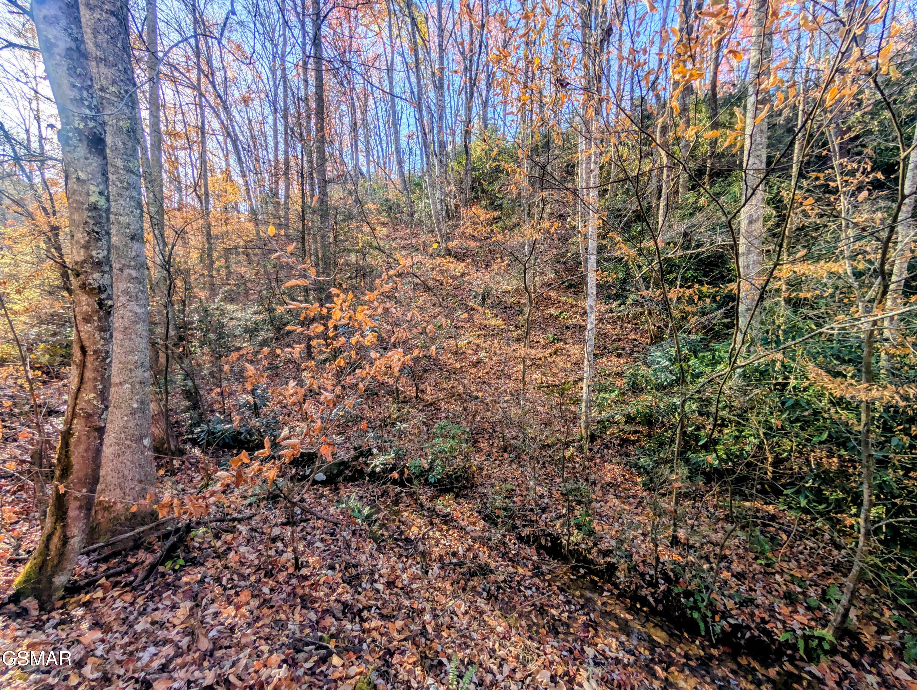 Lot 1908 Rose Pass Sevierville TN 37876