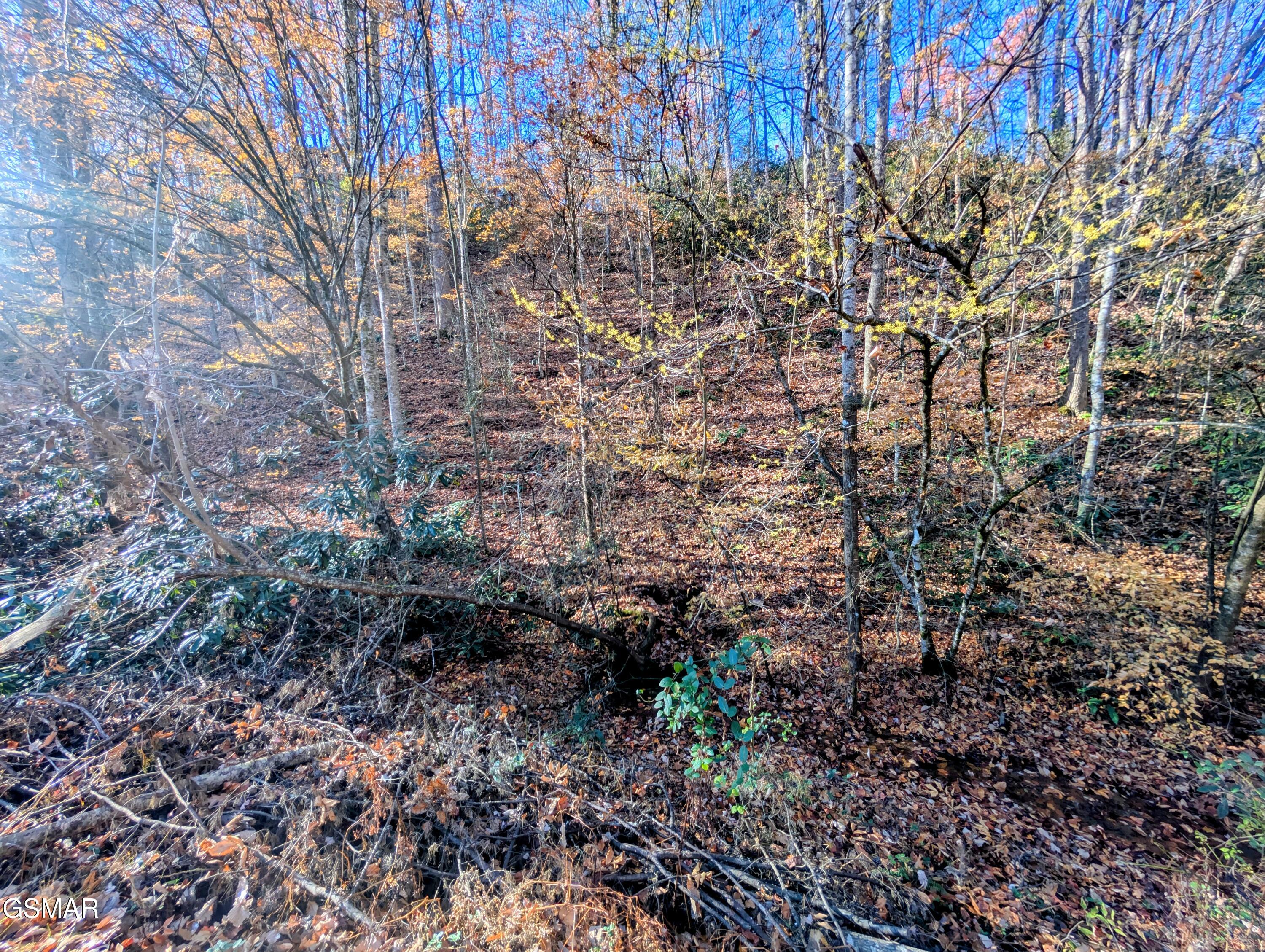 Lot 1908 Rose Pass Sevierville TN 37876