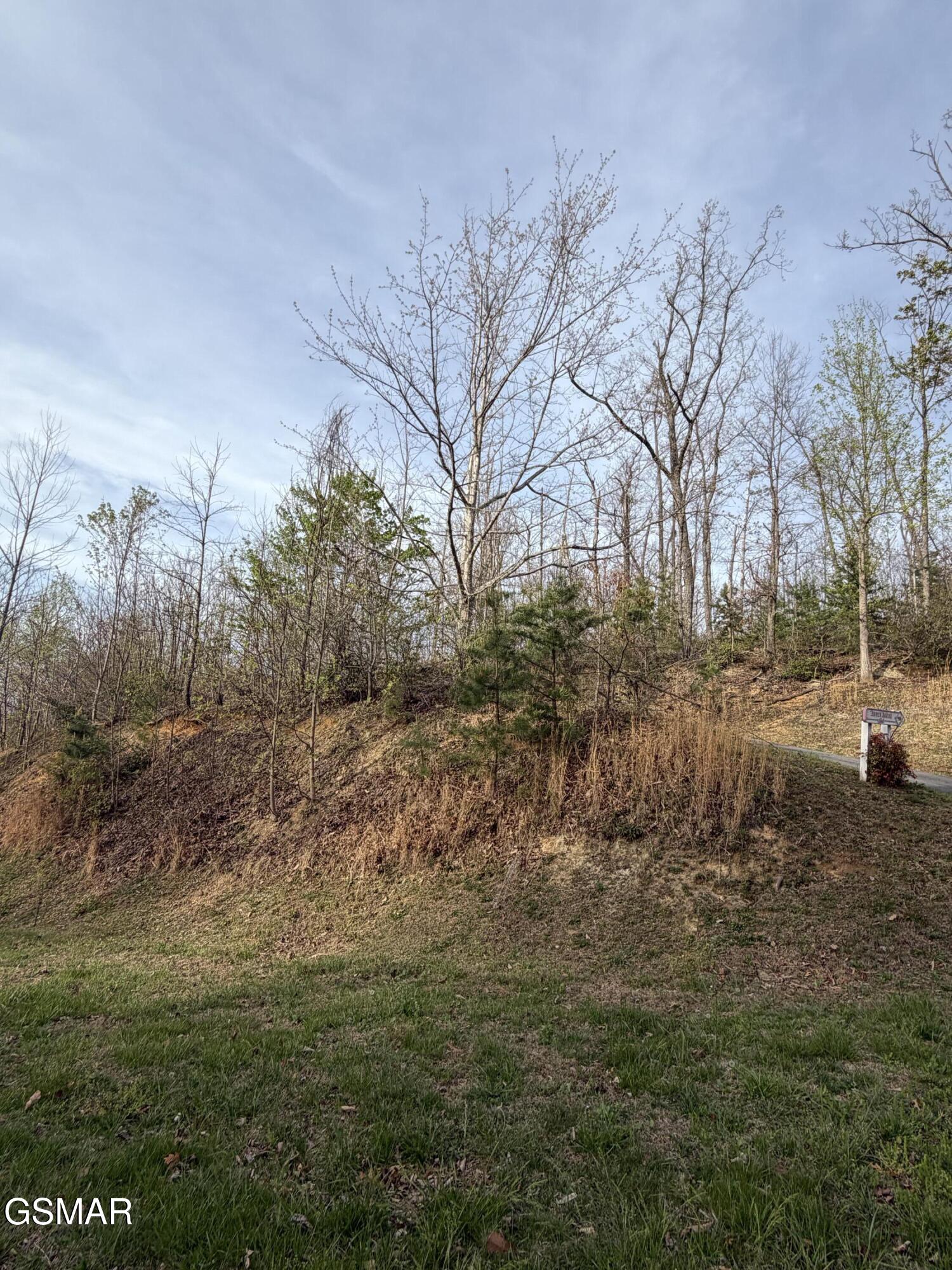 956 Street Of Dreams Way Gatlinburg TN 37738