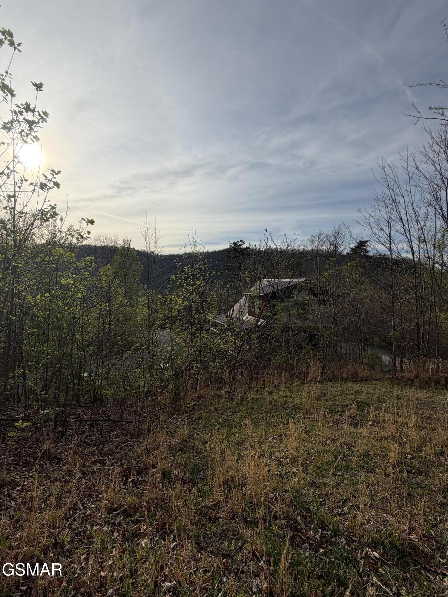 956 Street Of Dreams Way Gatlinburg TN 37738