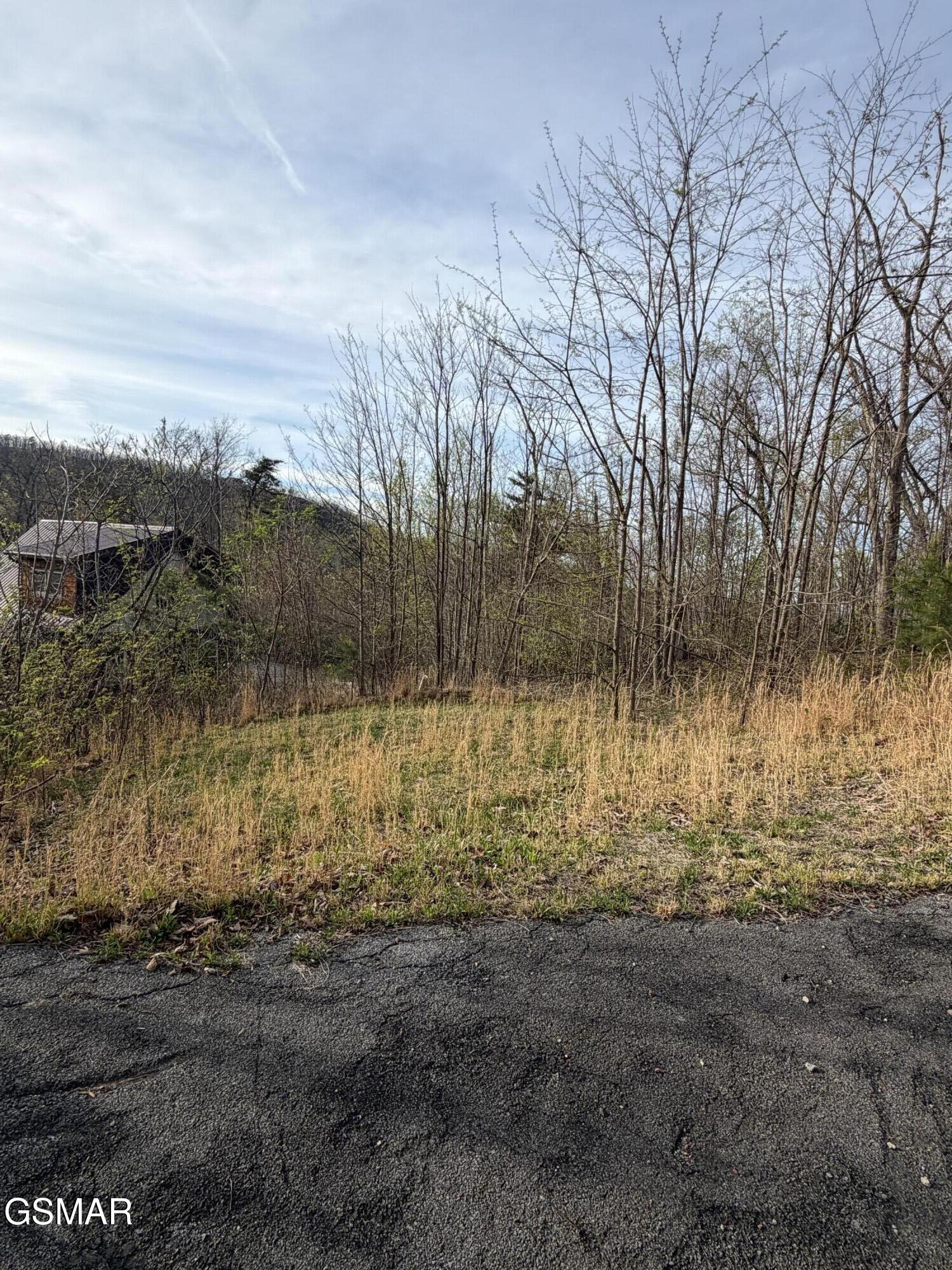 956 Street Of Dreams Way Gatlinburg TN 37738