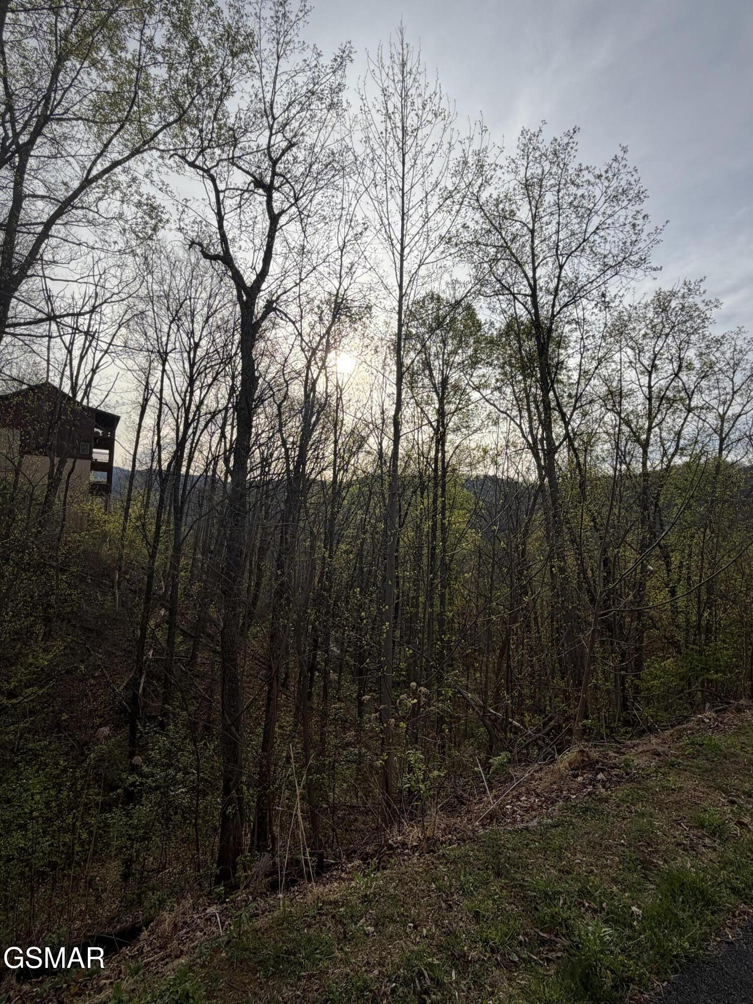 956 Street Of Dreams Way Gatlinburg TN 37738