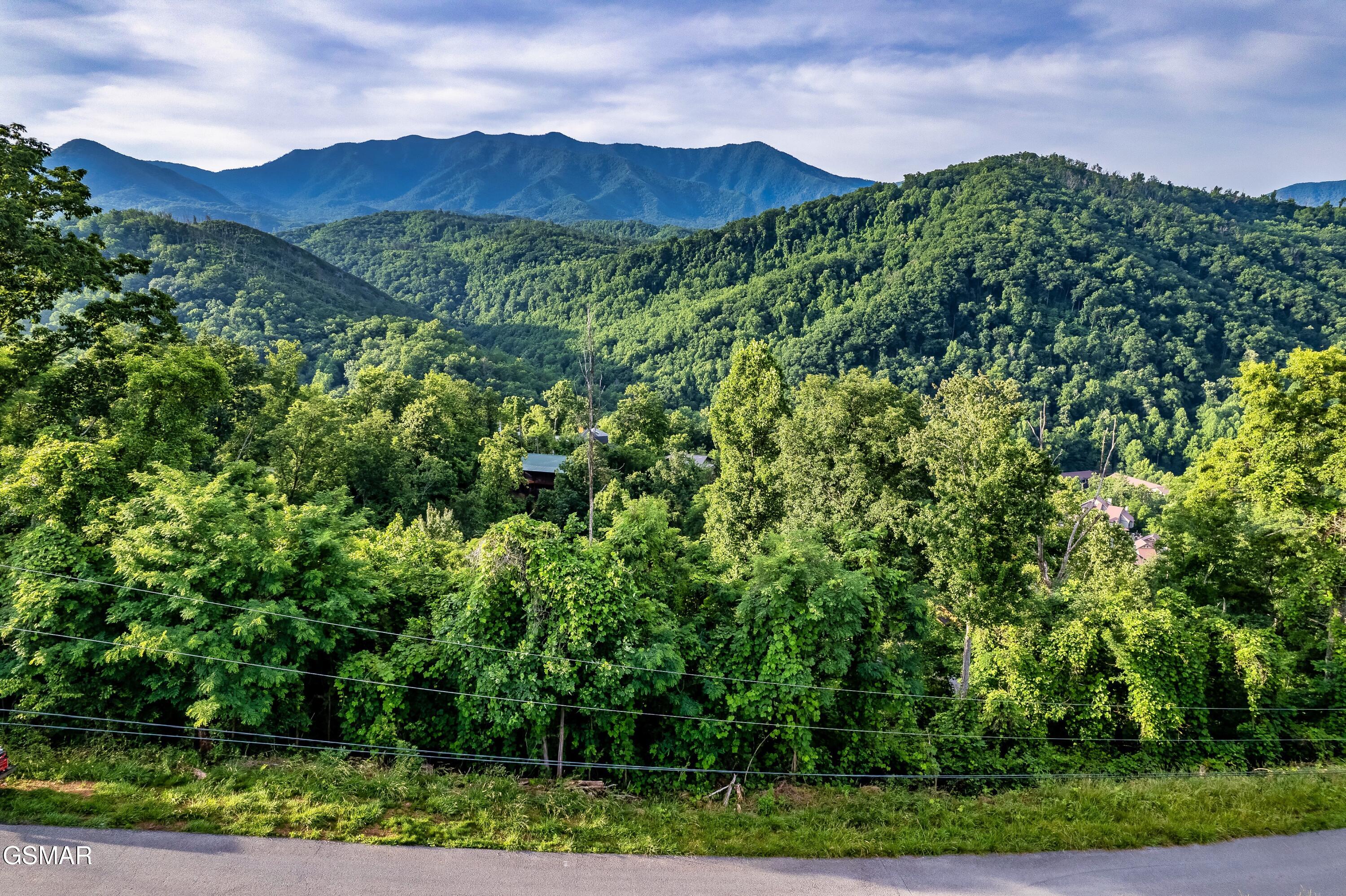 Lot 0002 Ellis Ogle Road Gatlinburg TN 37738