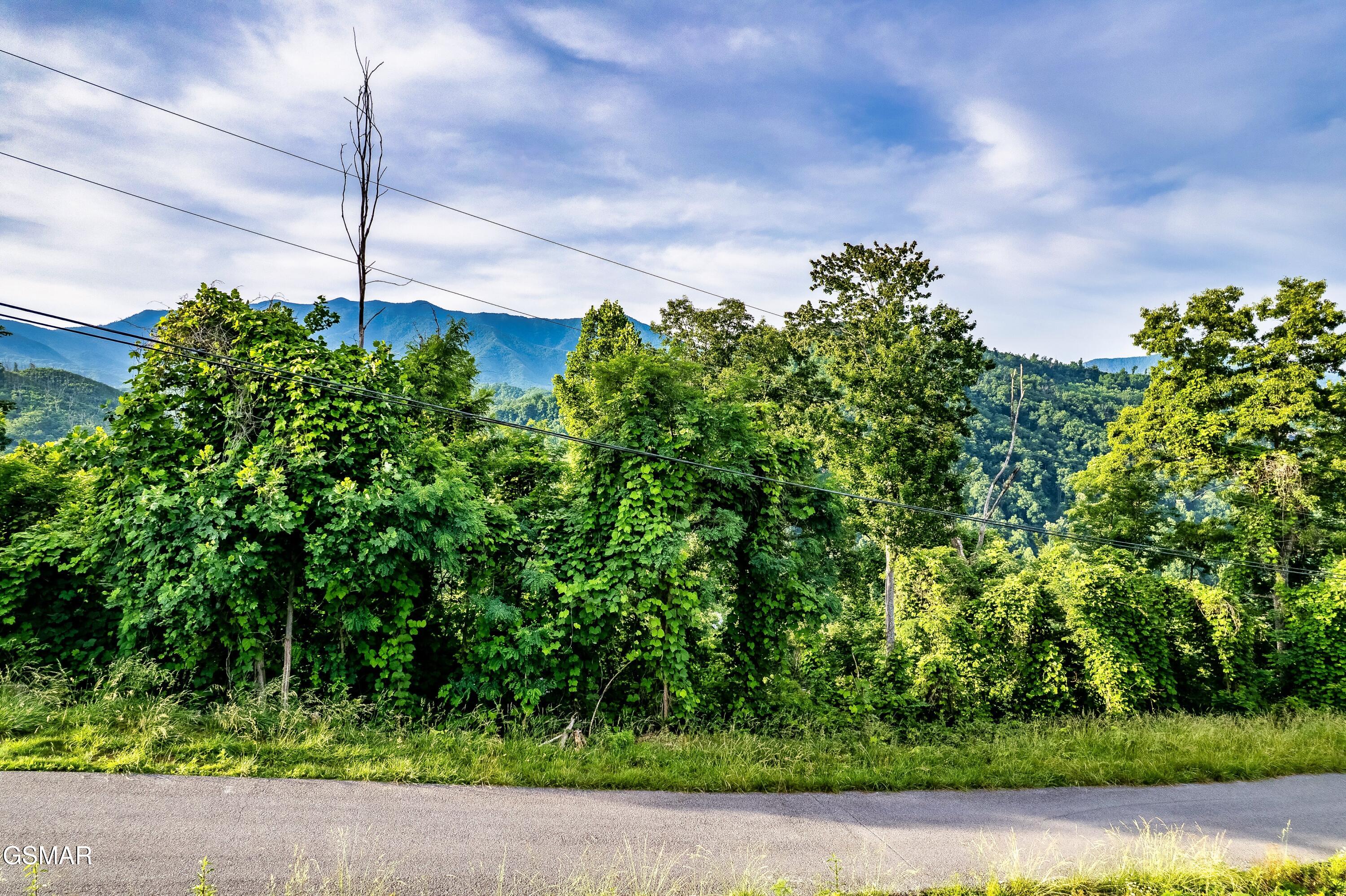 Lot 0002 Ellis Ogle Road Gatlinburg TN 37738