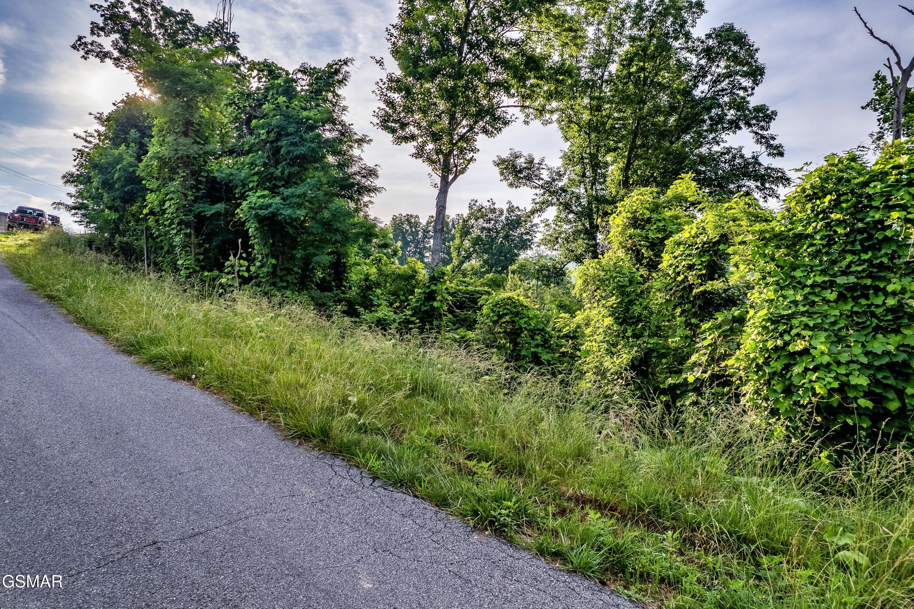 Lot 0002 Ellis Ogle Road Gatlinburg TN 37738