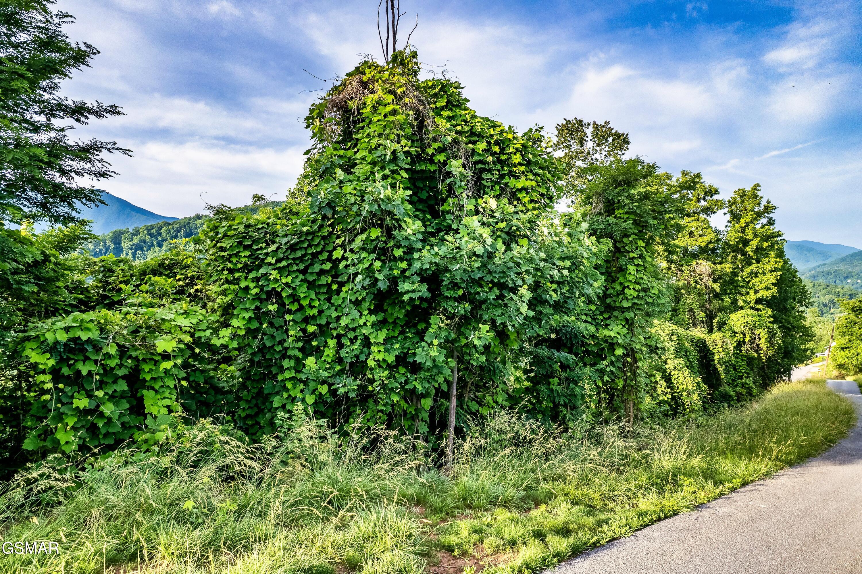 Lot 0002 Ellis Ogle Road Gatlinburg TN 37738