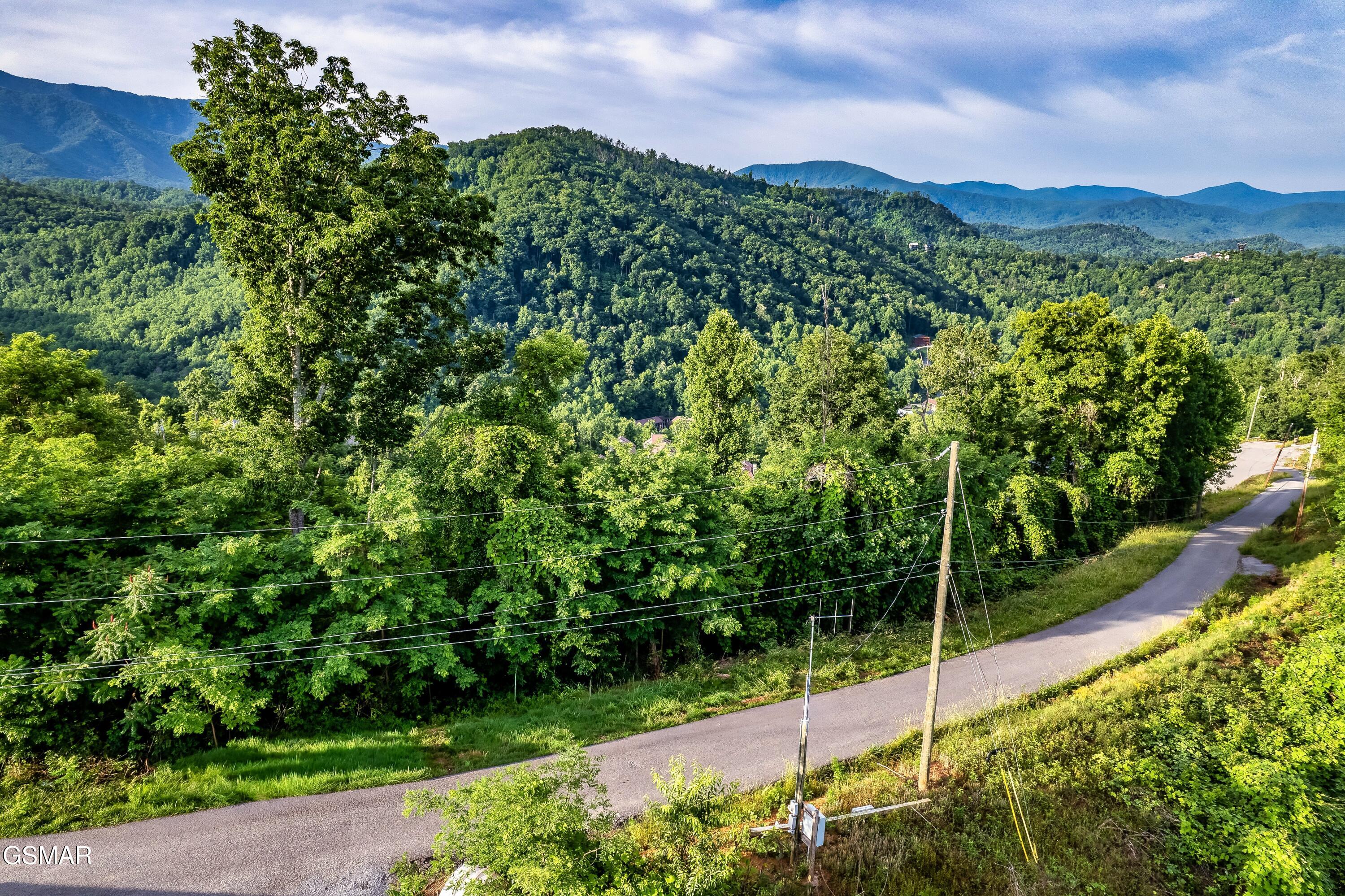 Lot 0002 Ellis Ogle Road Gatlinburg TN 37738