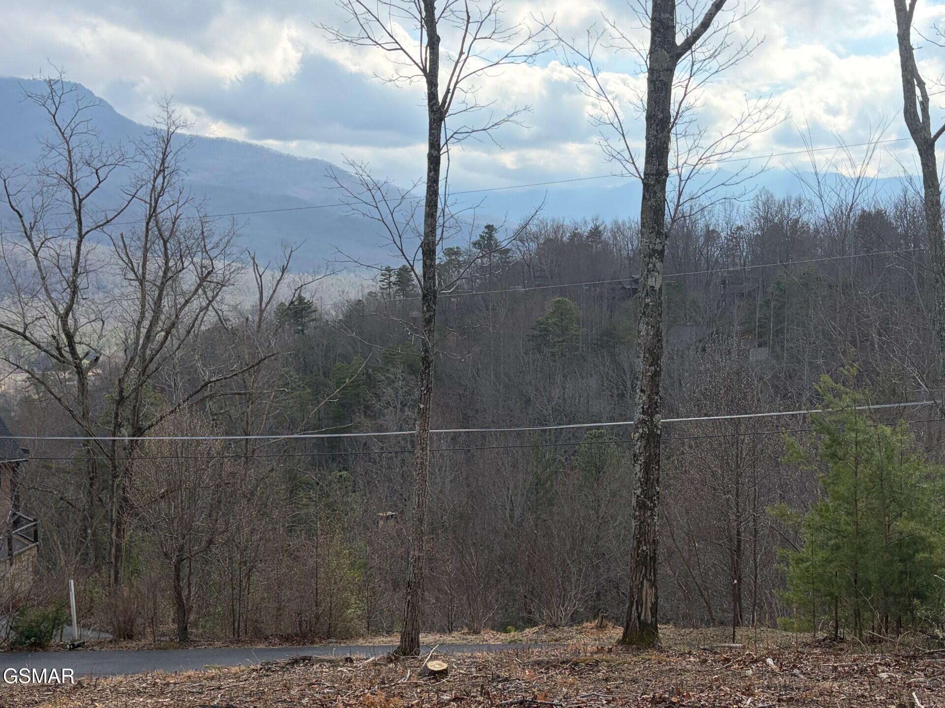 Lot 78 Vixen Run Gatlinburg TN 37738