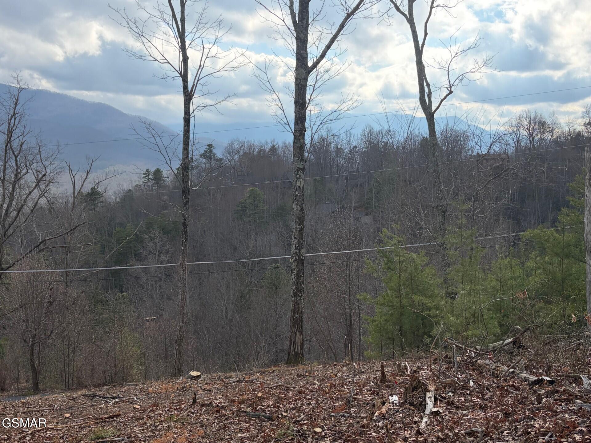 Lot 78 Vixen Run Gatlinburg TN 37738