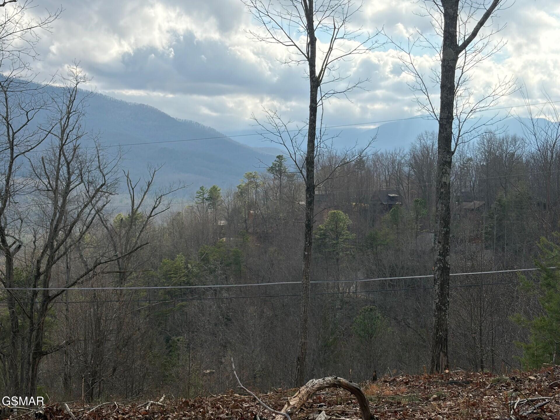Lot 78 Vixen Run Gatlinburg TN 37738