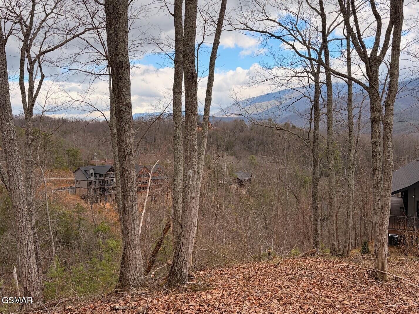 Lot 78 Vixen Run Gatlinburg TN 37738