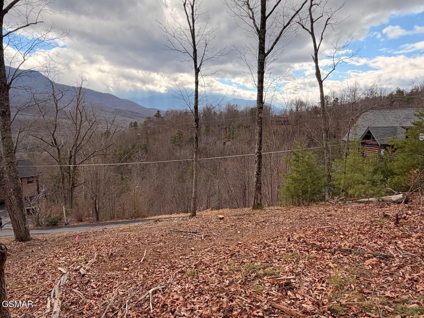 Lot 78 Vixen Run Gatlinburg TN 37738