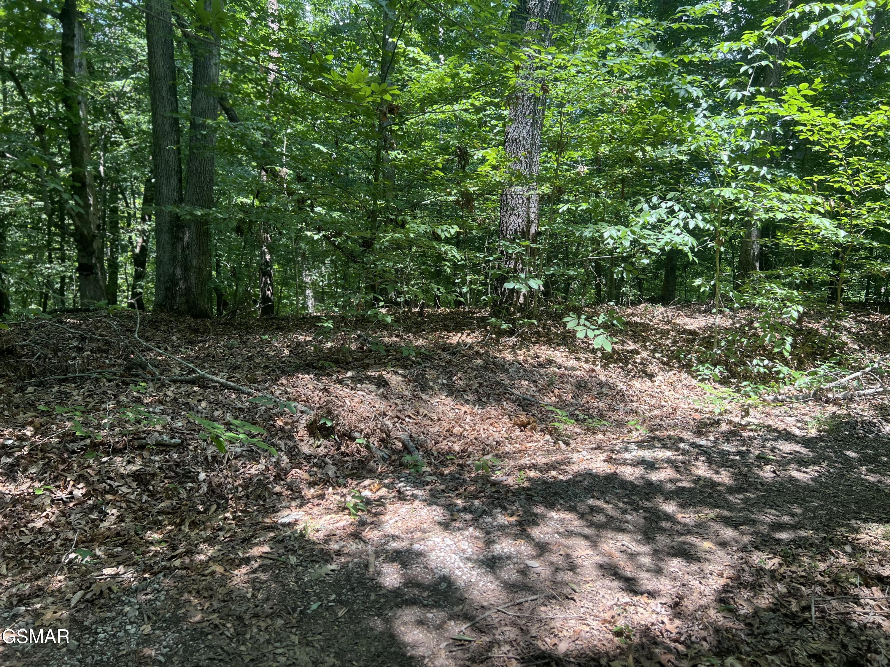 0 Sunny Court Baneberry TN 37890