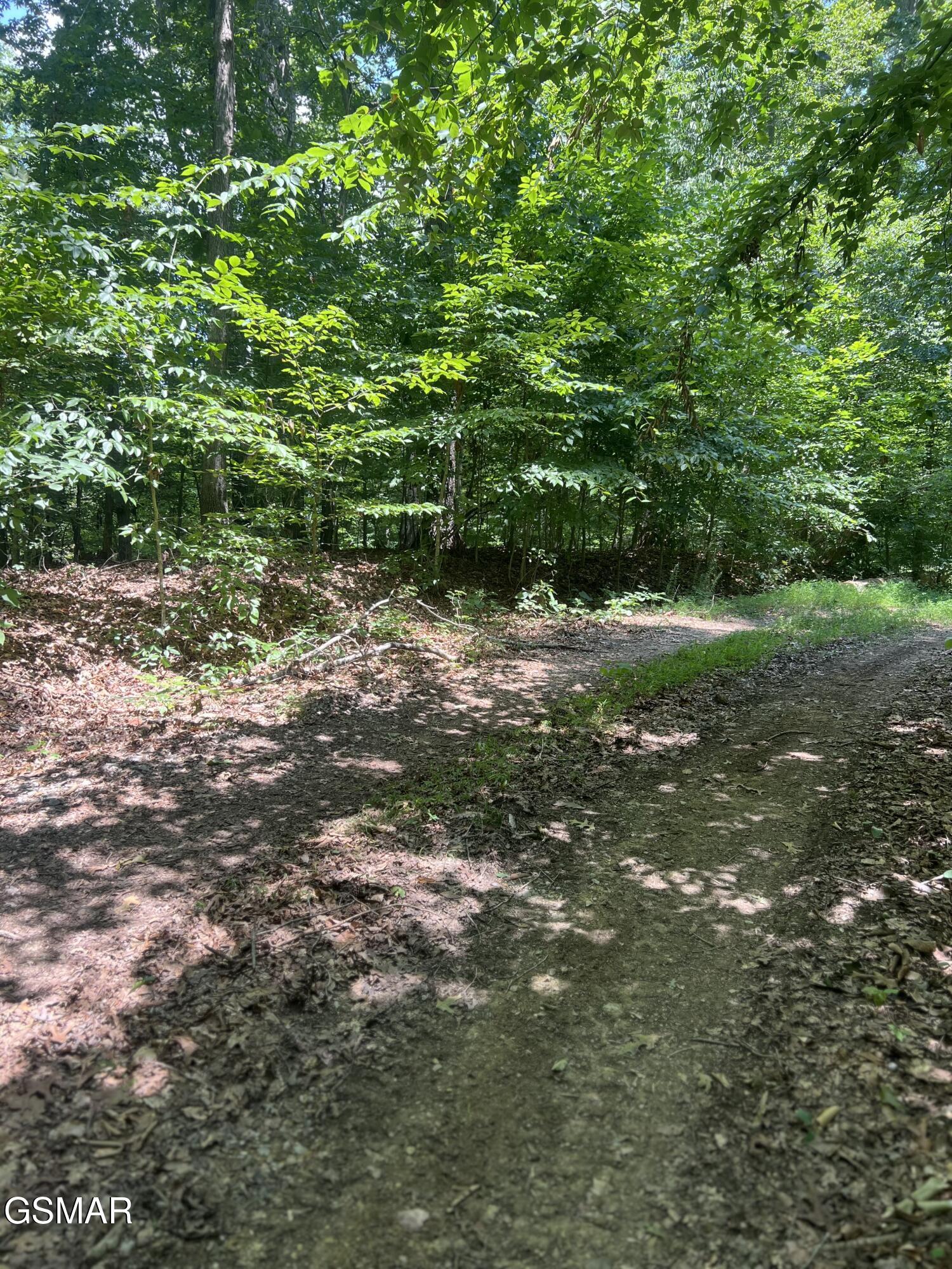 0 Sunny Court Baneberry TN 37890