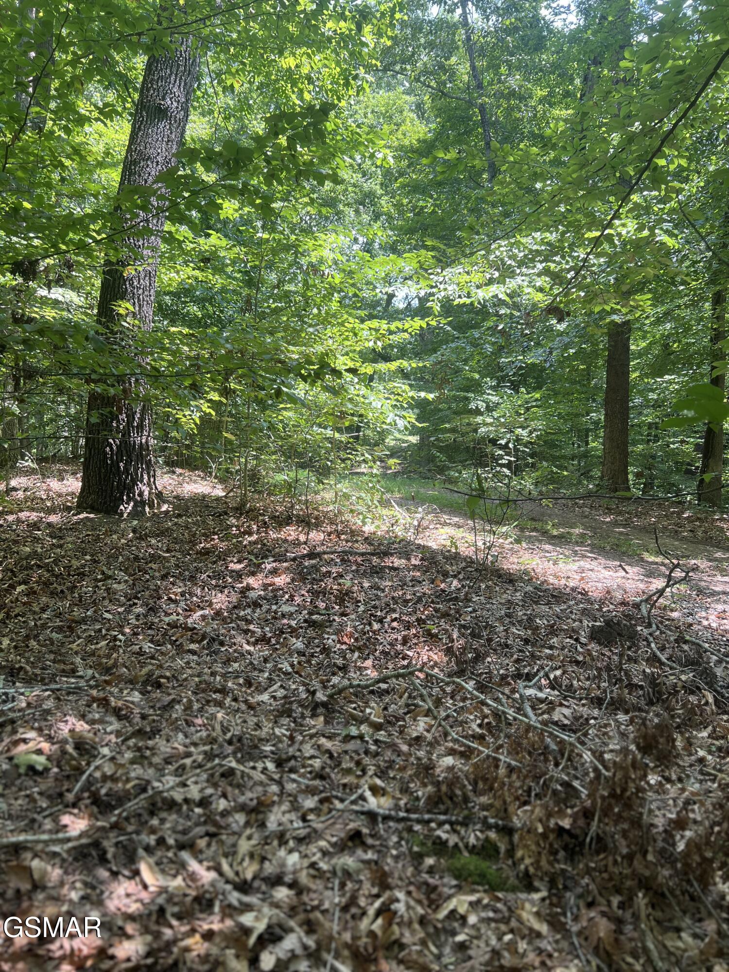 0 Sunny Court Baneberry TN 37890