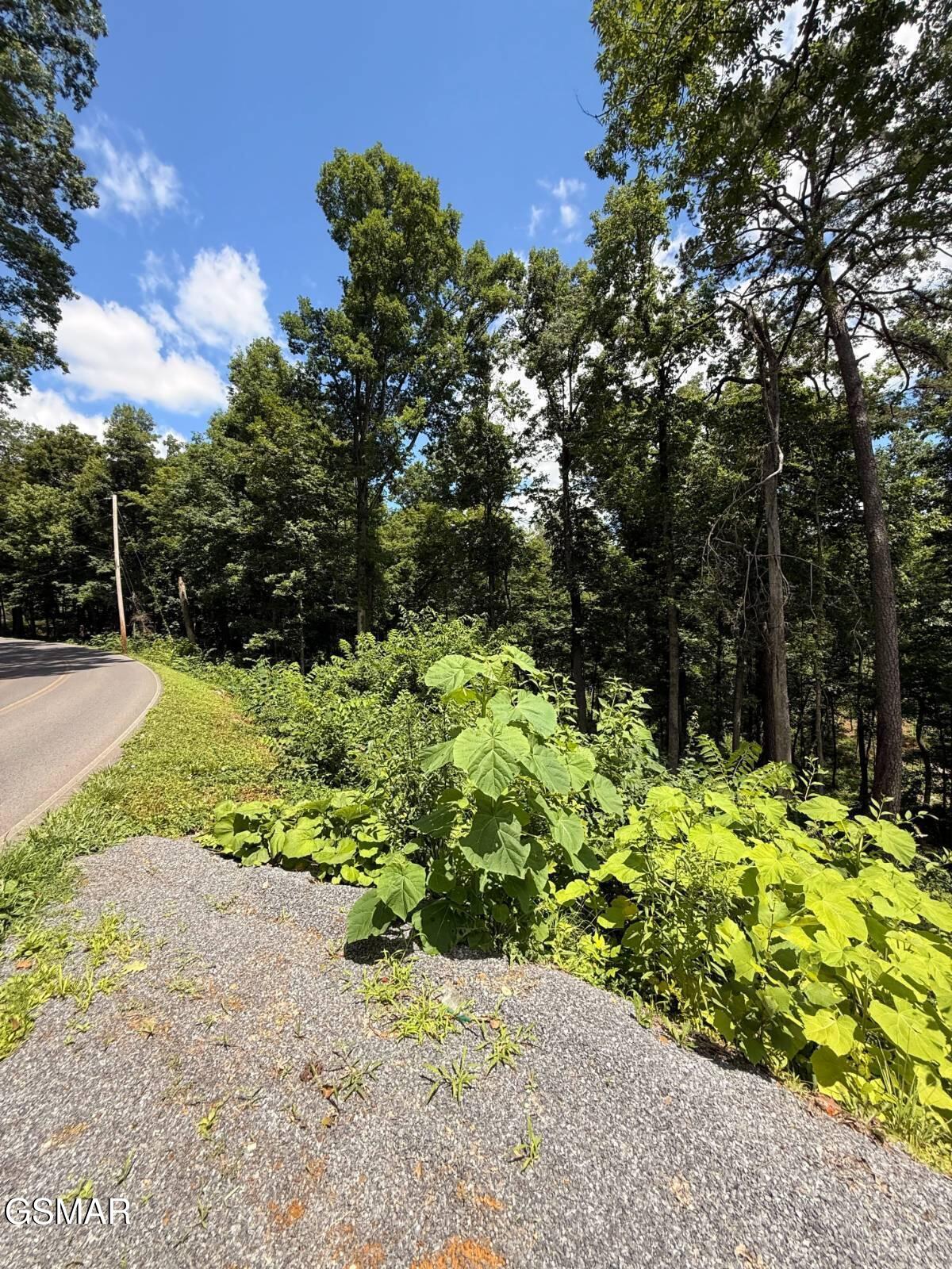 Lot 11 Cherokee Drive Dandridge TN 37725