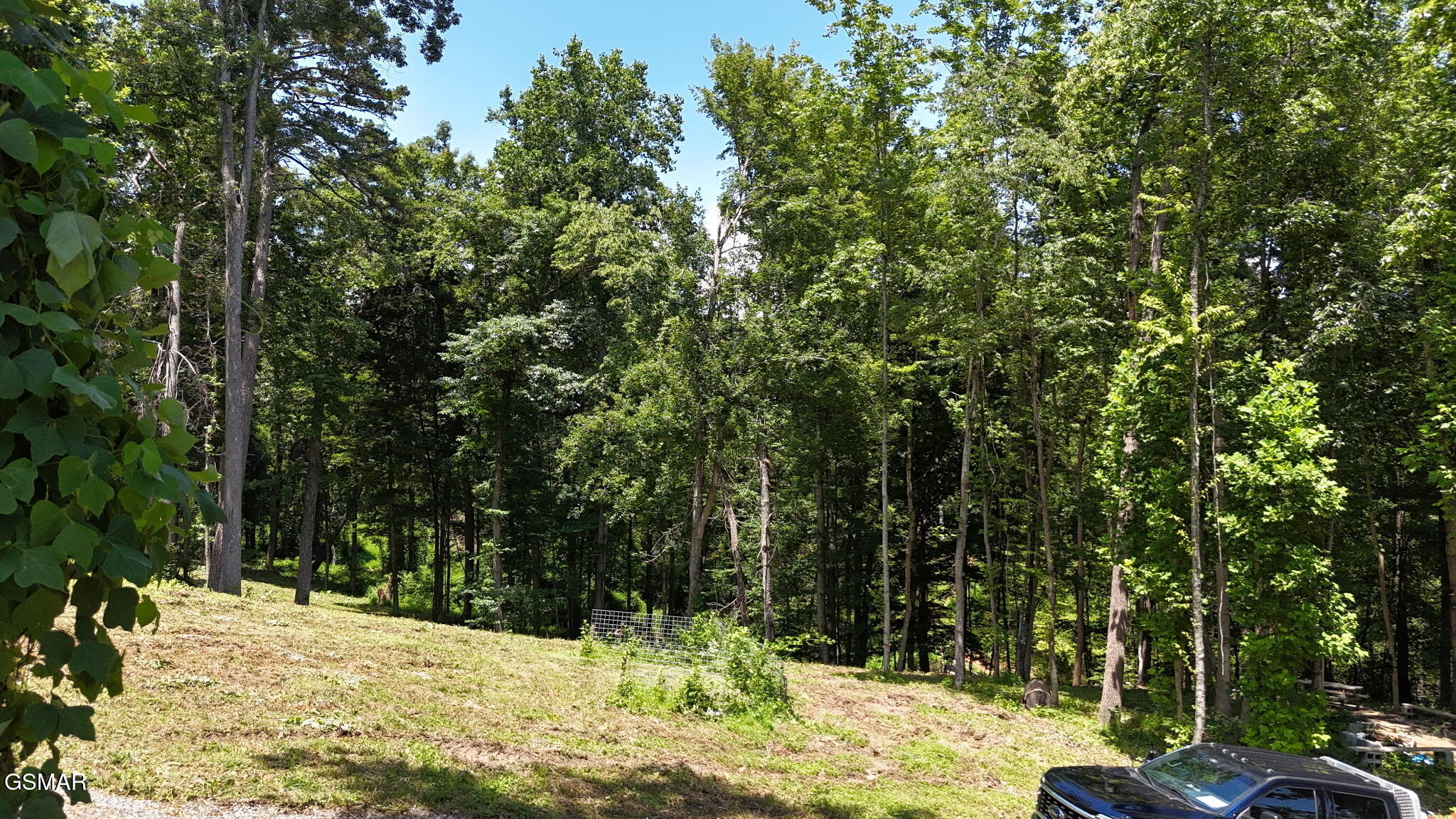 Lot 11 Cherokee Drive Dandridge TN 37725