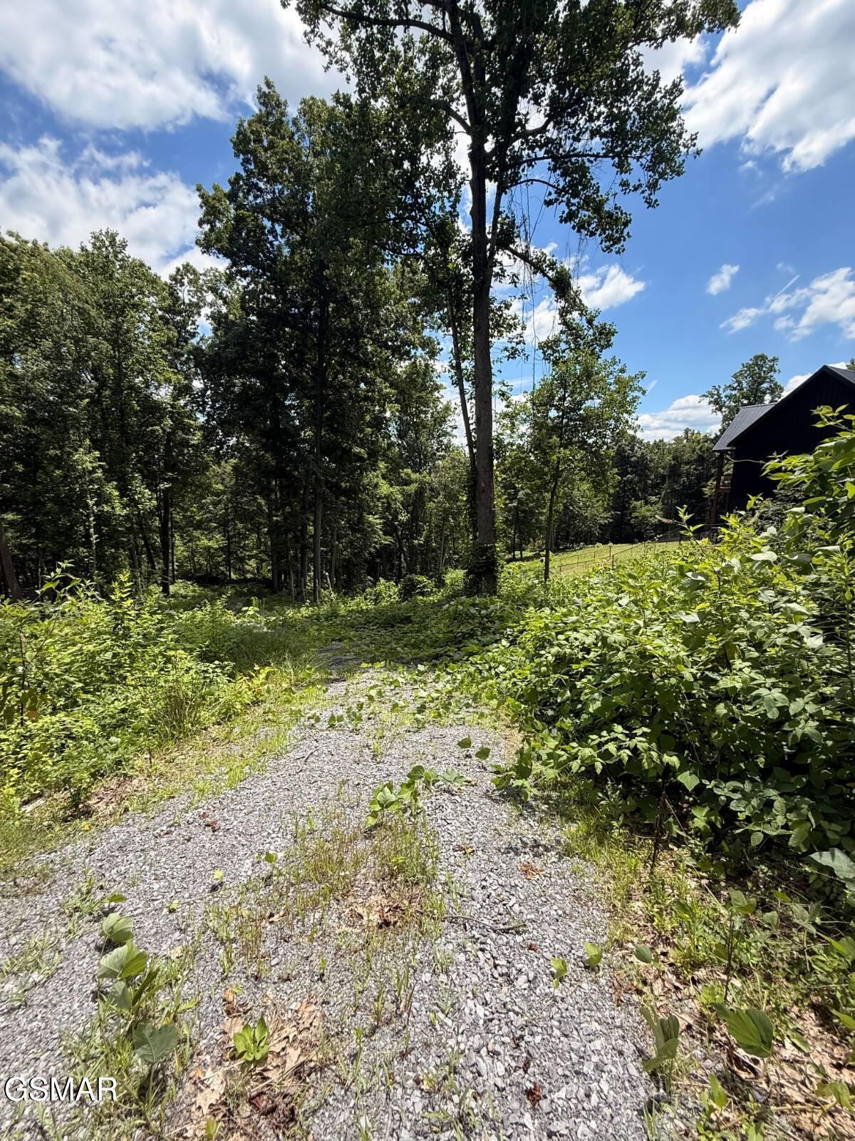 Lot 11 Cherokee Drive Dandridge TN 37725