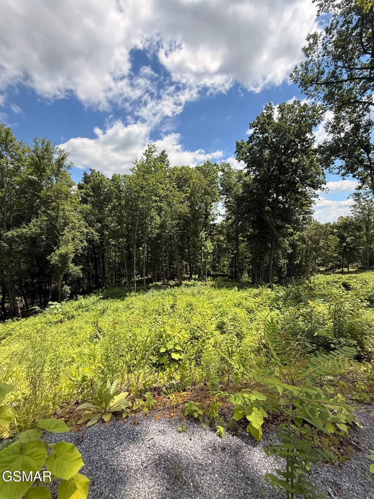 Lot 11 Cherokee Drive Dandridge TN 37725