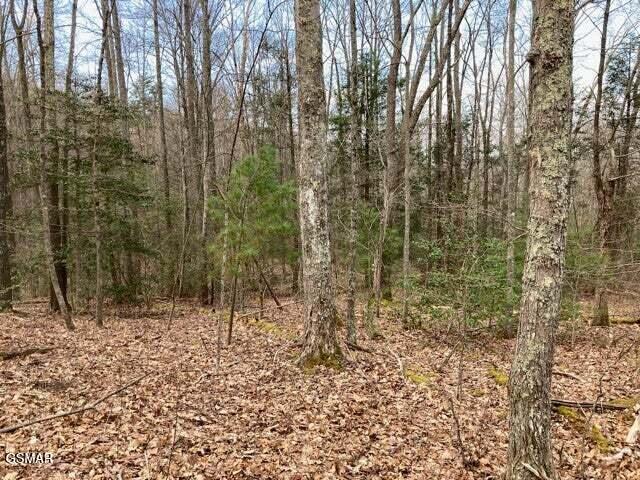 0 Dockery Branch Road Sevierville TN 37876