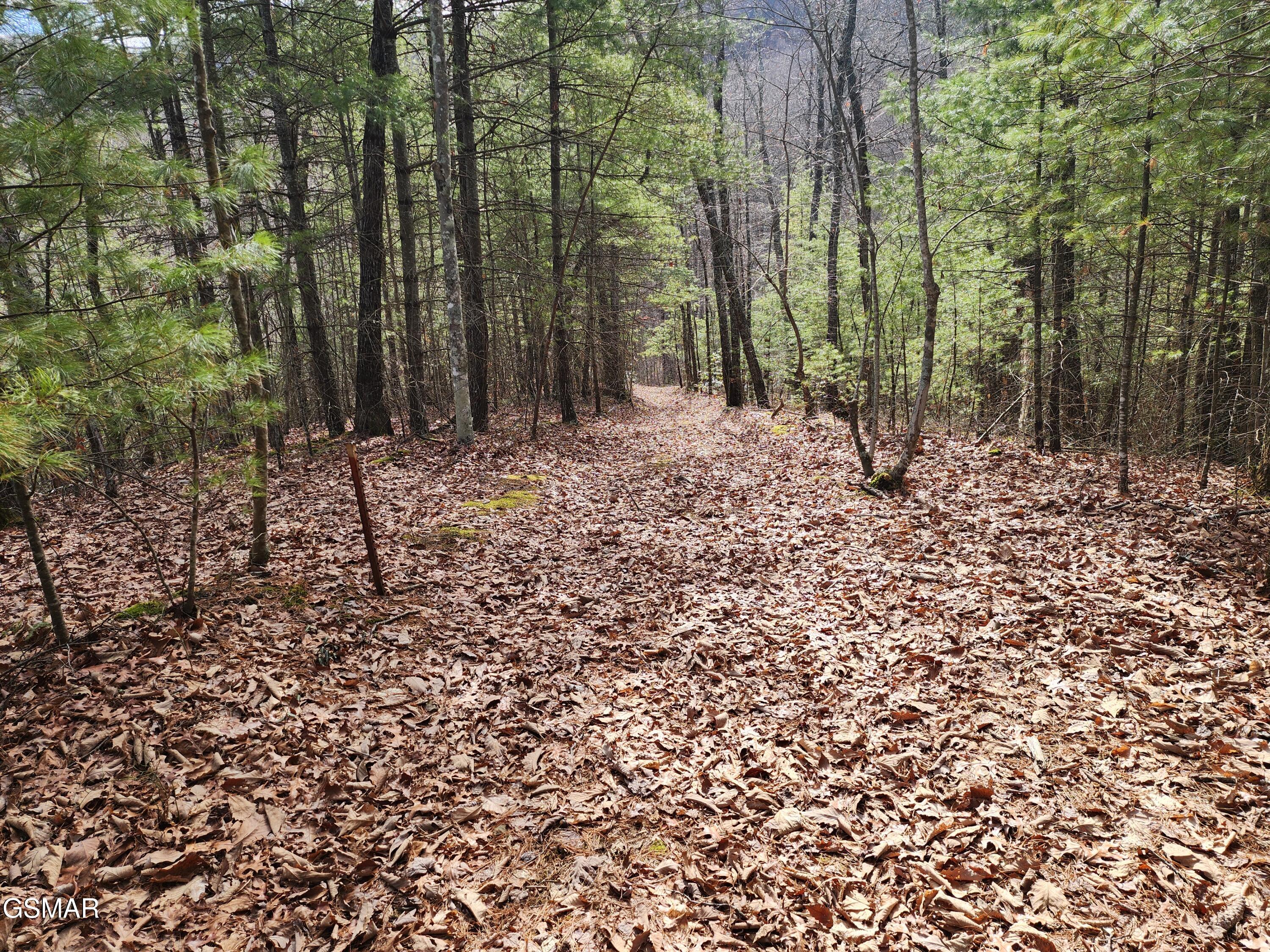 0 Dockery Branch Road Sevierville TN 37876