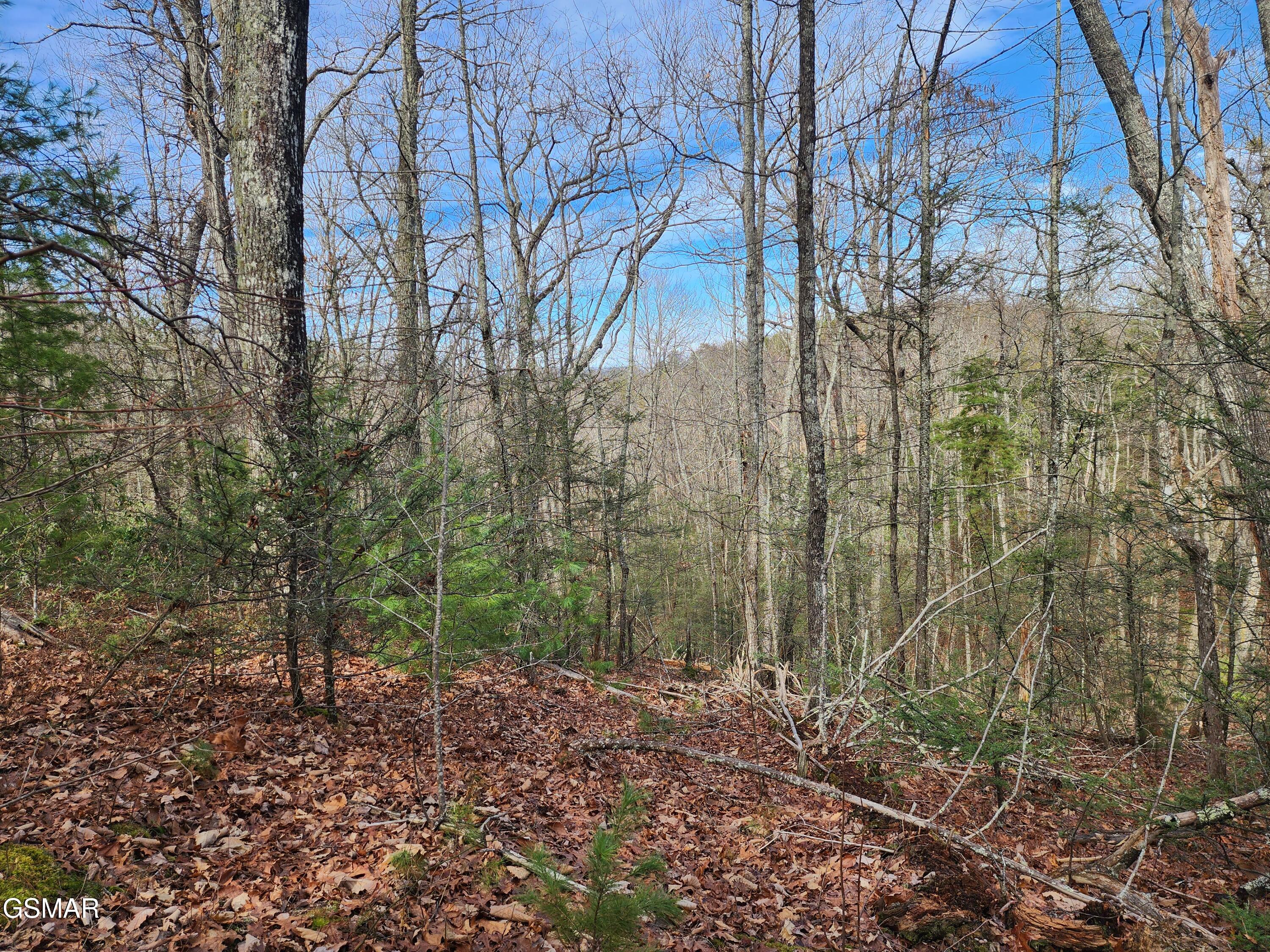 0 Dockery Branch Road Sevierville TN 37876