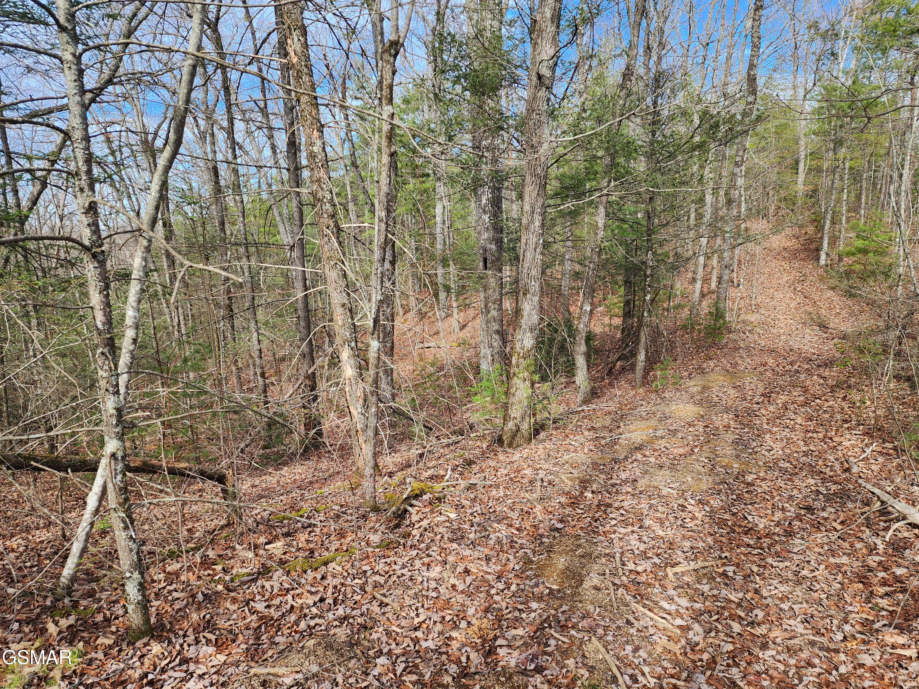 0 Dockery Branch Road Sevierville TN 37876