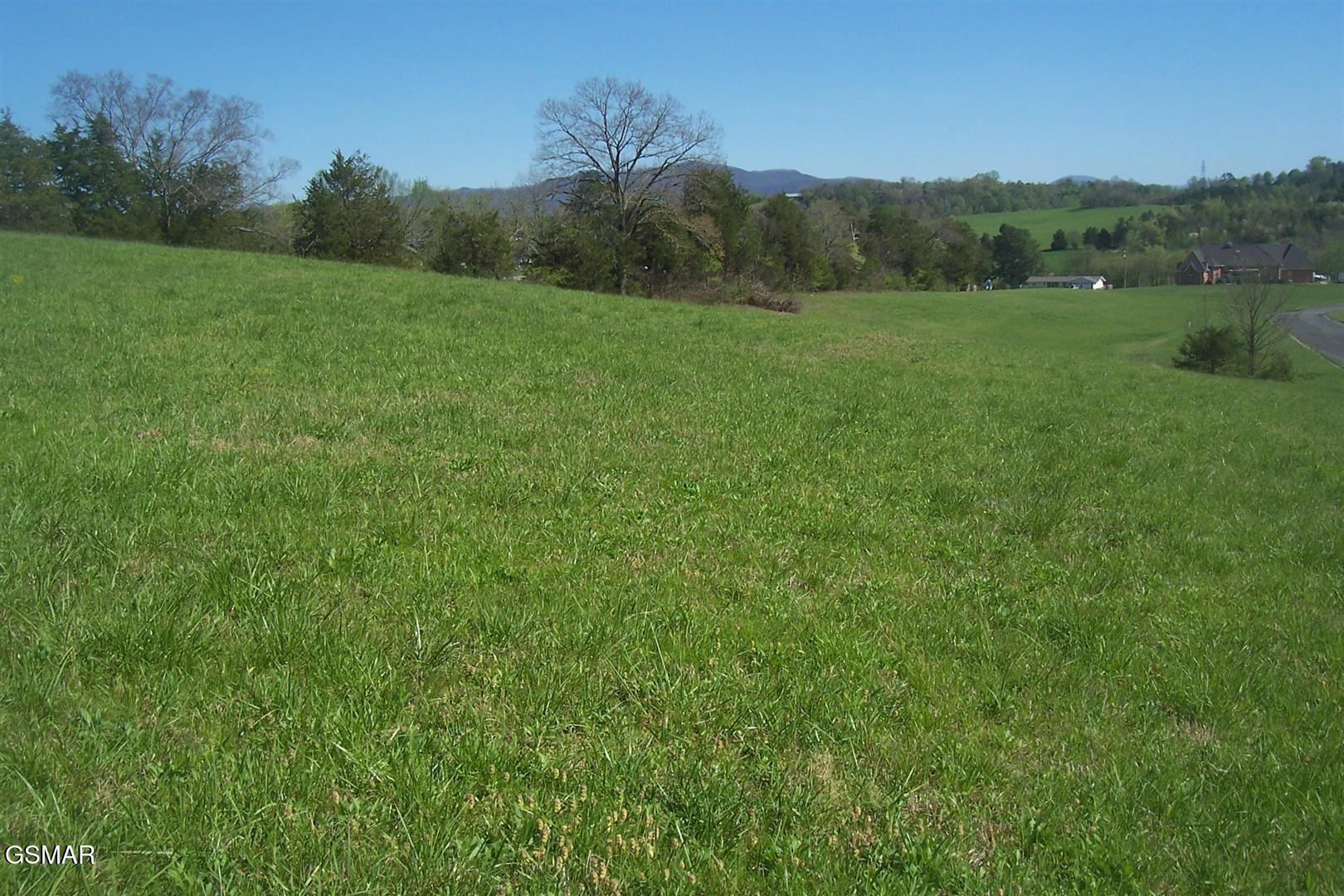 Lot 30 Splendor Way Parrottsville TN 37843