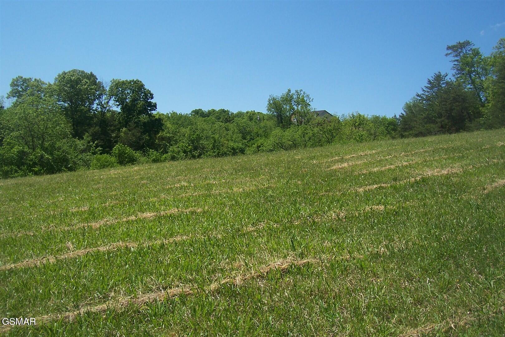 Lot 30 Splendor Way Parrottsville TN 37843