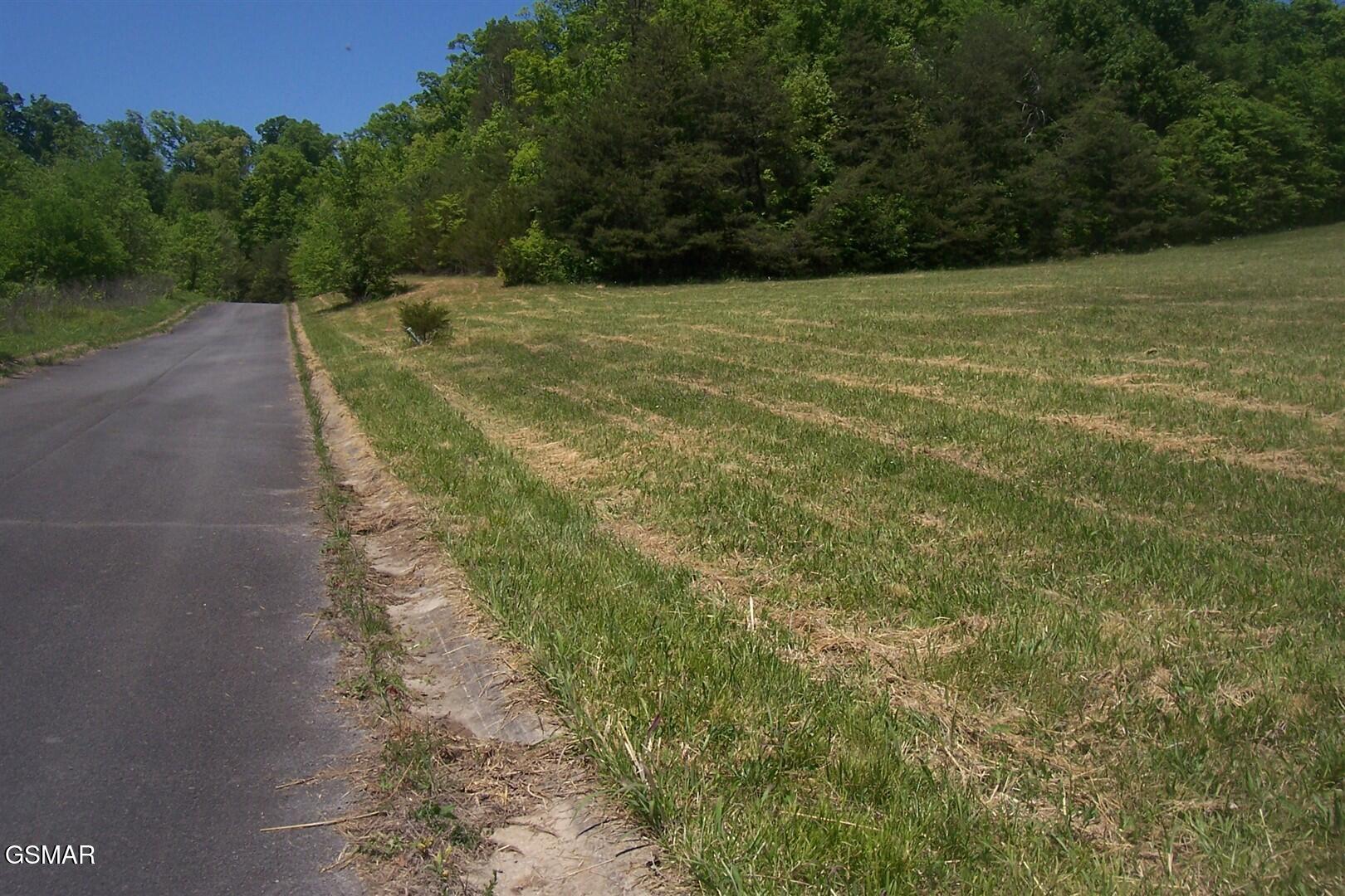 Lot 30 Splendor Way Parrottsville TN 37843
