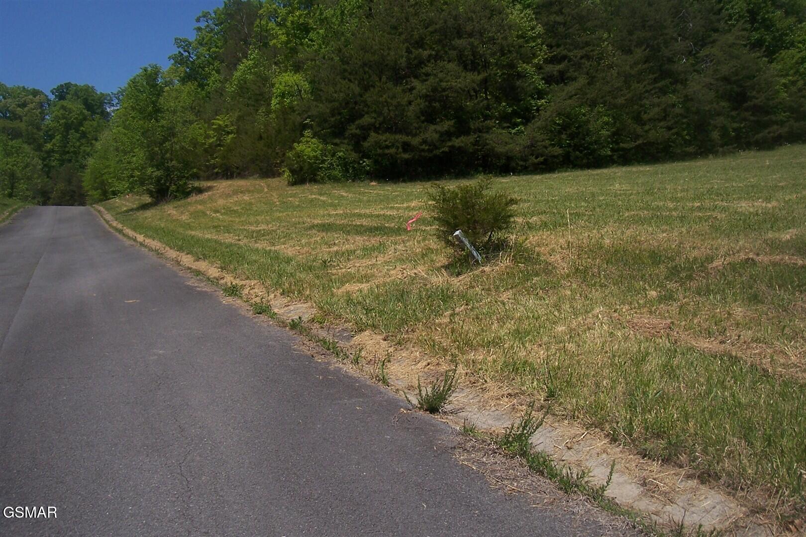 Lot 30 Splendor Way Parrottsville TN 37843
