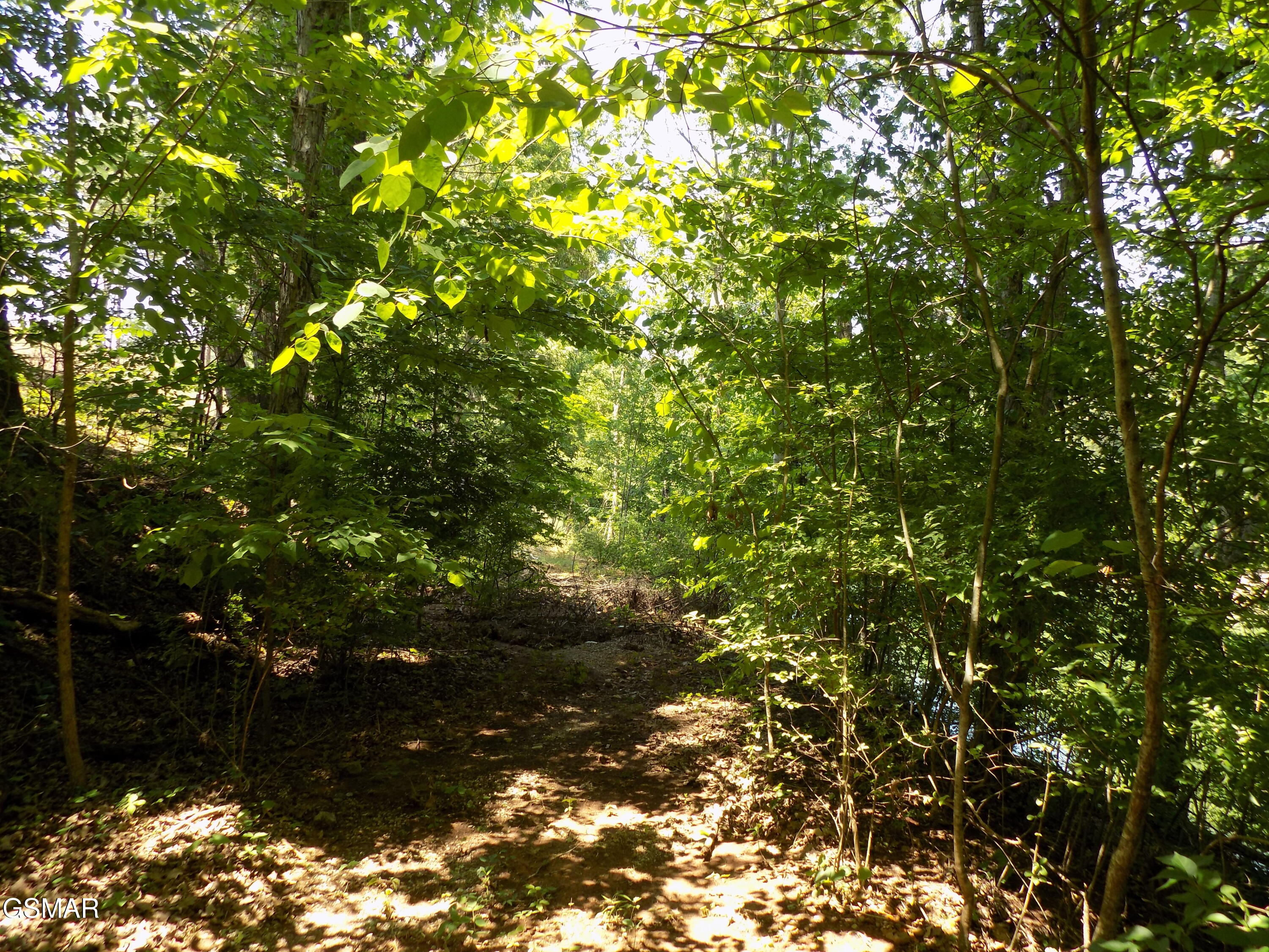 Lot 13 Shorewood Point Morristown TN 37814