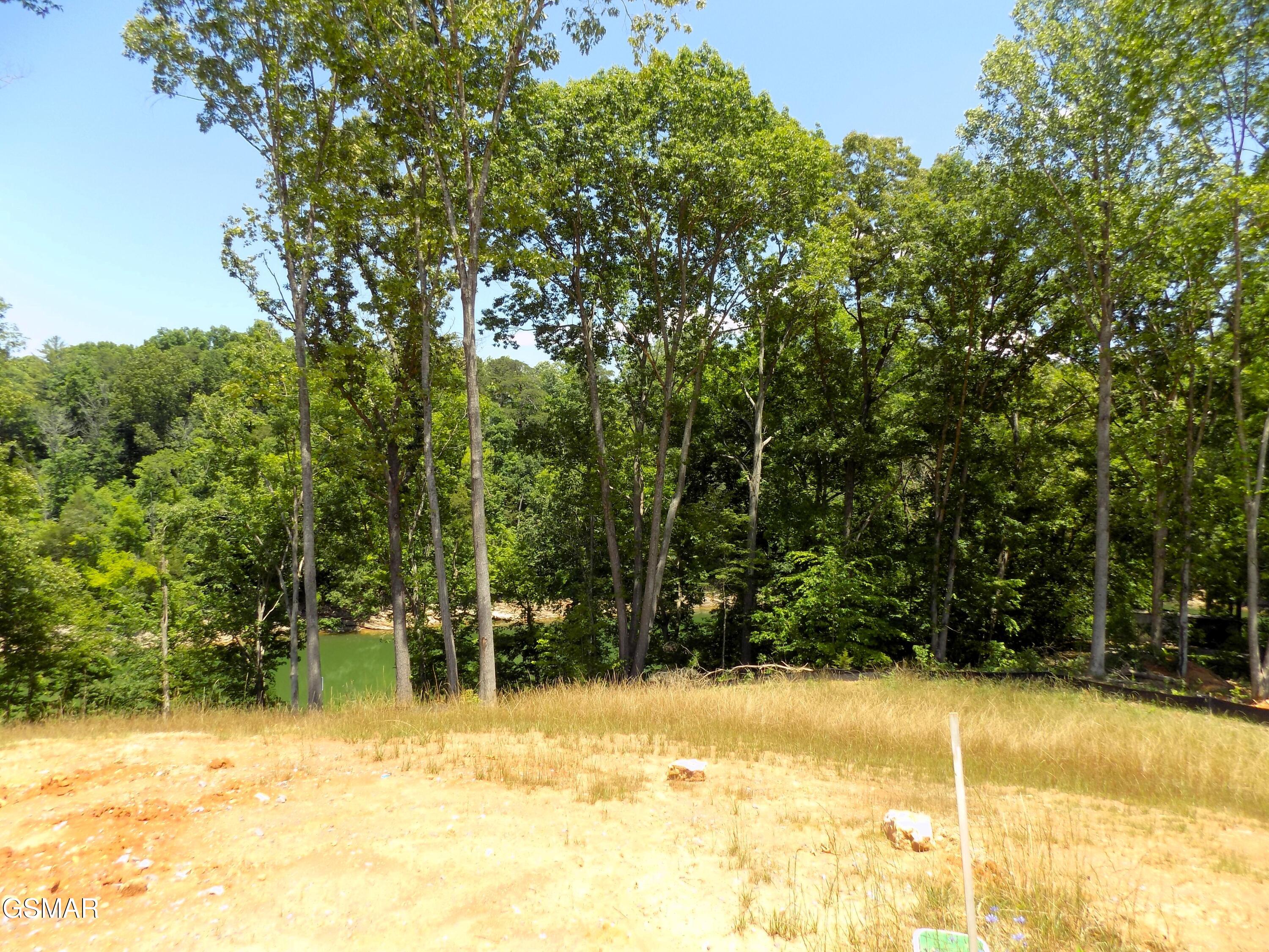 Lot 13 Shorewood Point Morristown TN 37814