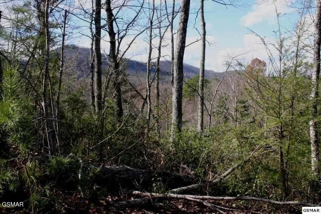 4350 Carolina Cove Way Pigeon Forge TN 37863