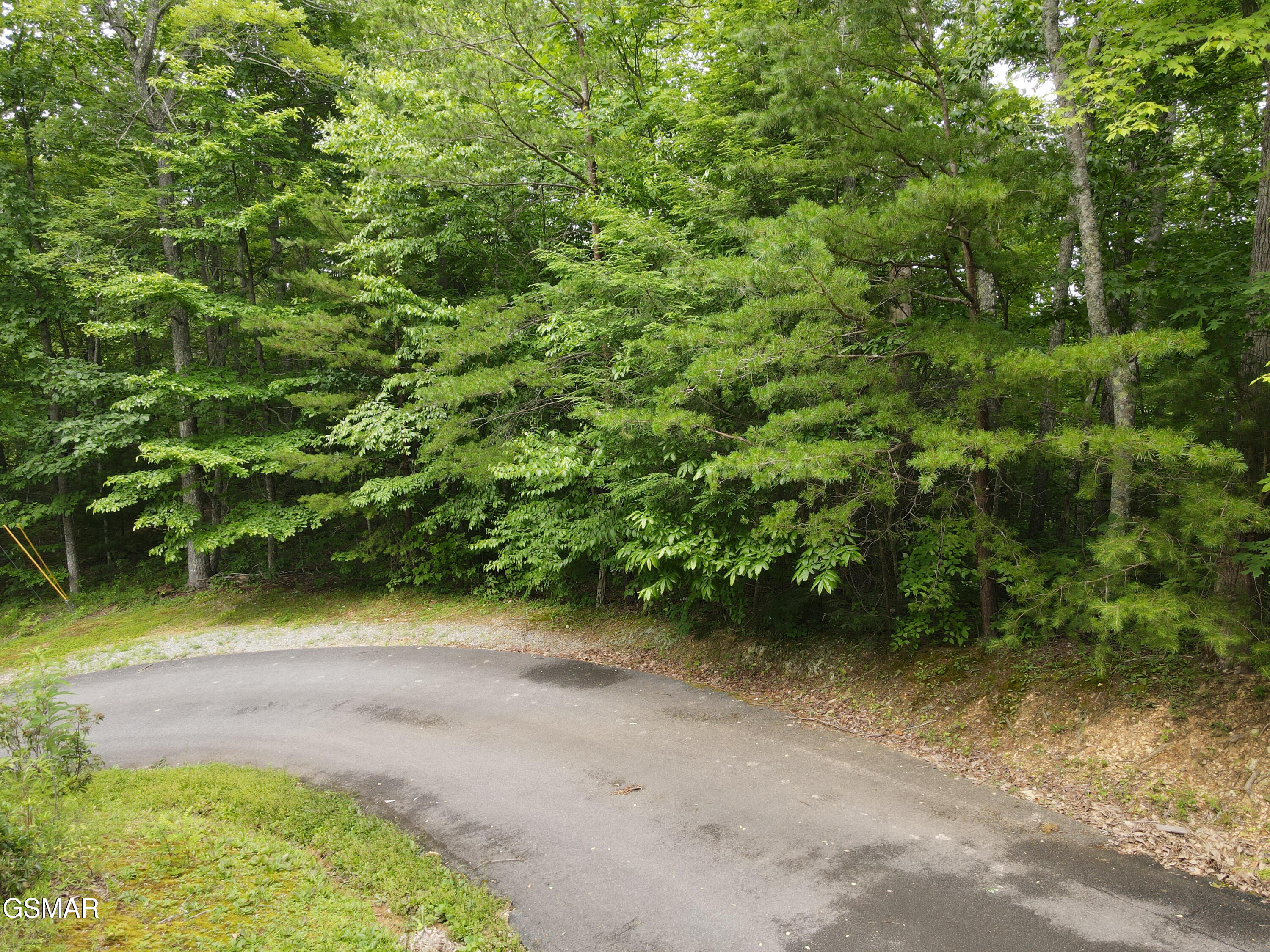 4350 Carolina Cove Way Pigeon Forge TN 37863