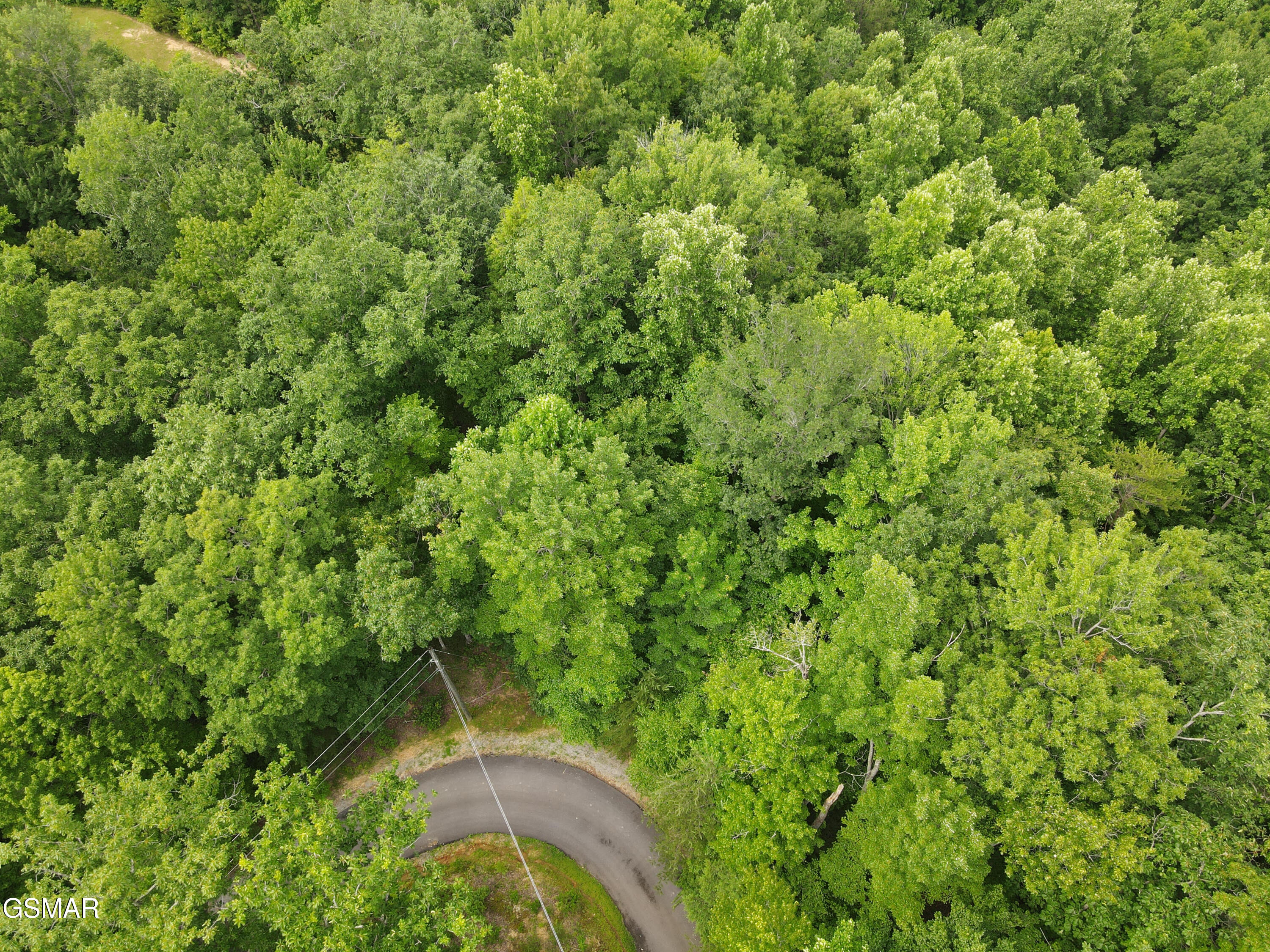 4350 Carolina Cove Way Pigeon Forge TN 37863