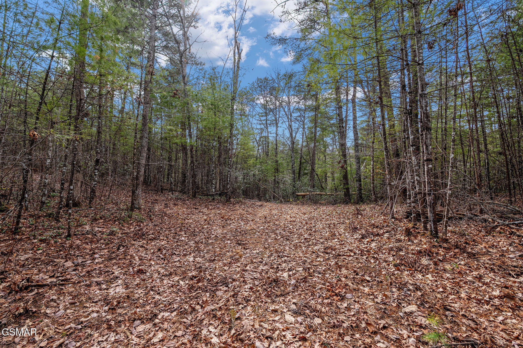 Lot 14 Paint Horse Way Sevierville TN 37876