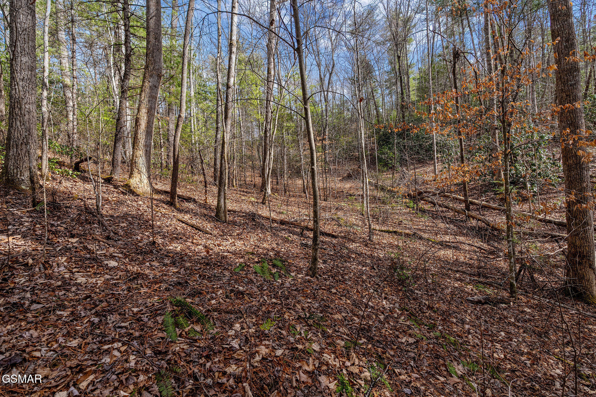 Lot 14 Paint Horse Way Sevierville TN 37876