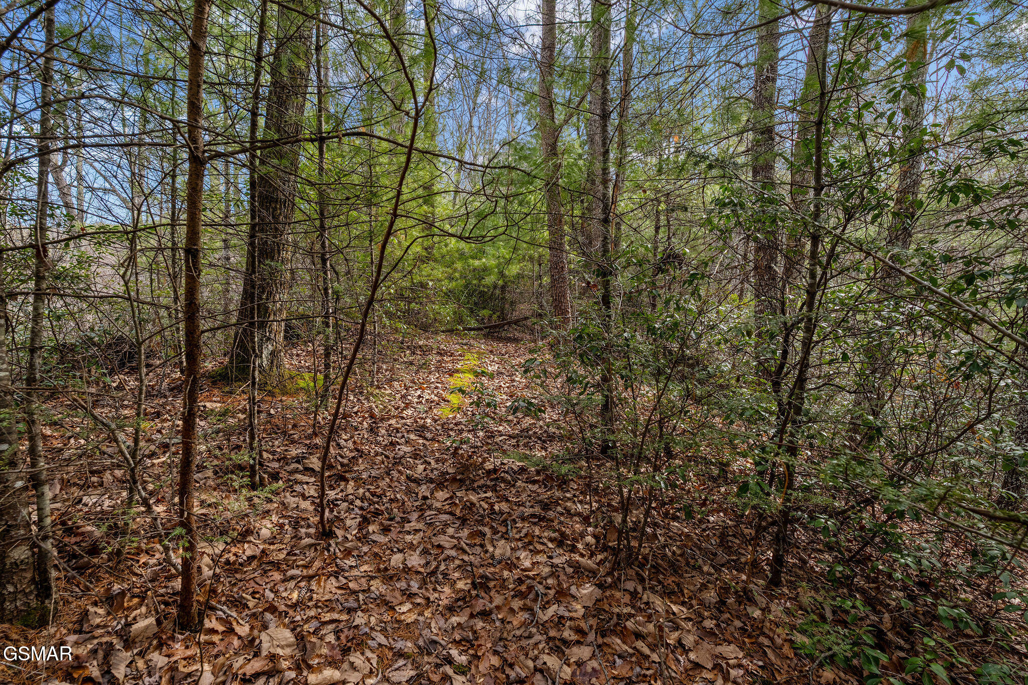 Lot 14 Paint Horse Way Sevierville TN 37876