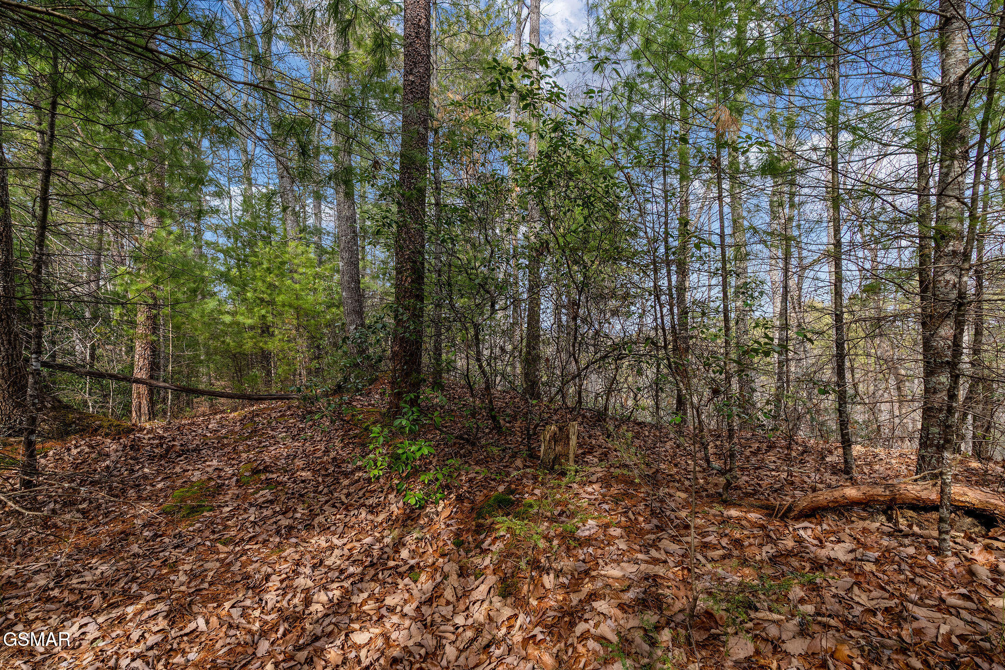 Lot 14 Paint Horse Way Sevierville TN 37876