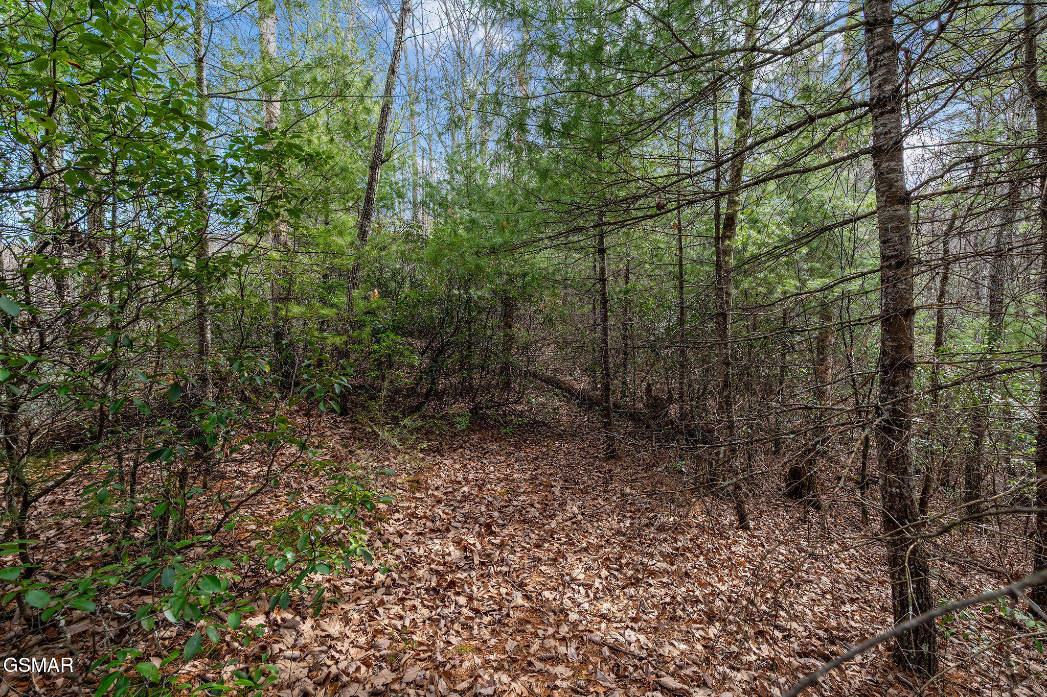 Lot 14 Paint Horse Way Sevierville TN 37876