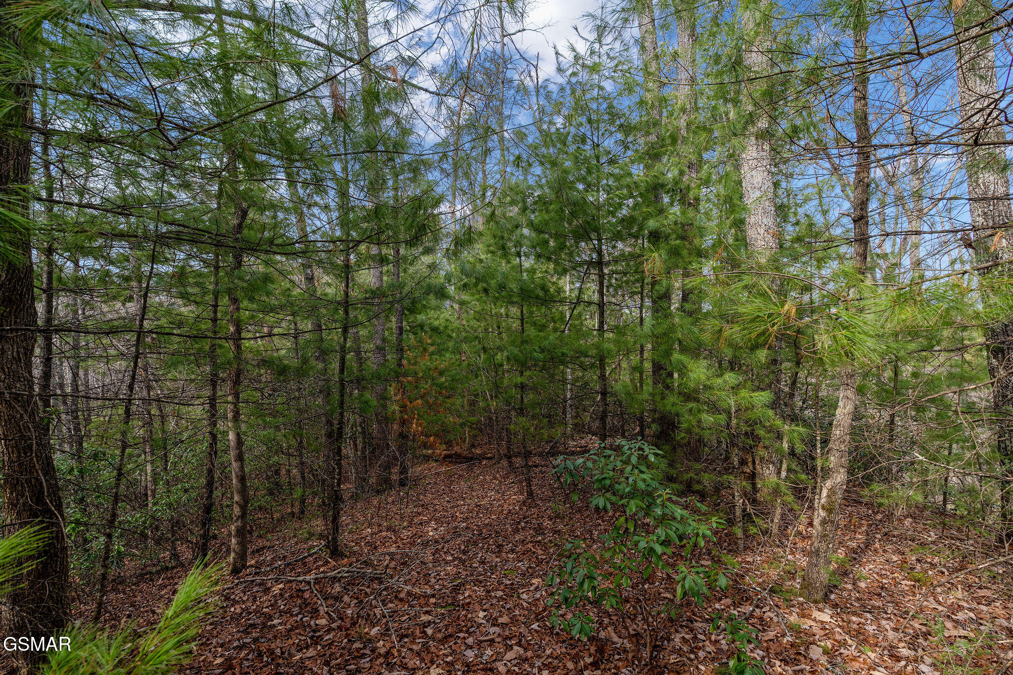 Lot 14 Paint Horse Way Sevierville TN 37876