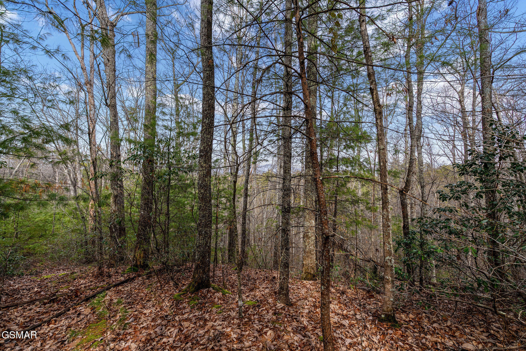 Lot 14 Paint Horse Way Sevierville TN 37876