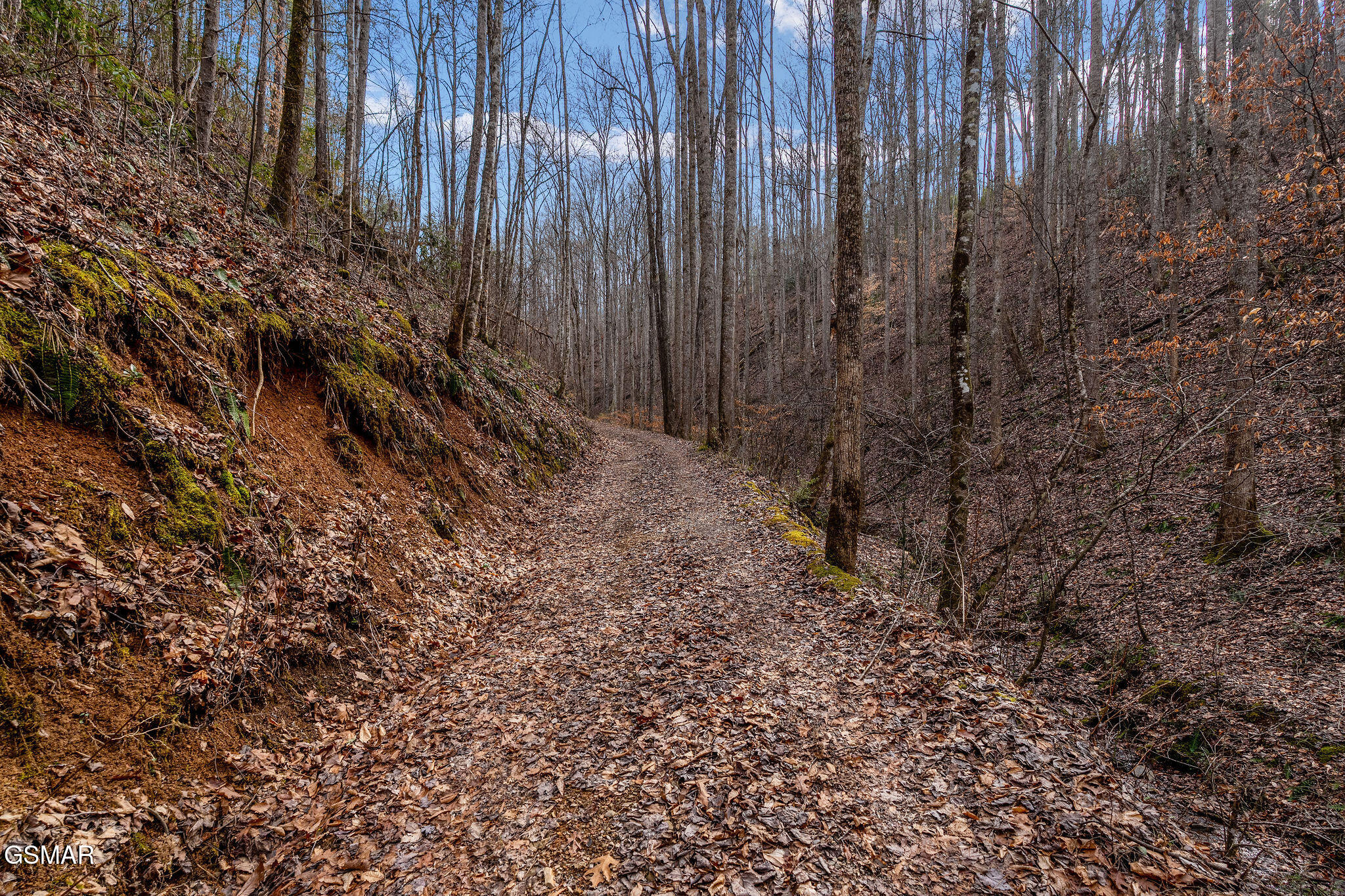 Lot 14 Paint Horse Way Sevierville TN 37876